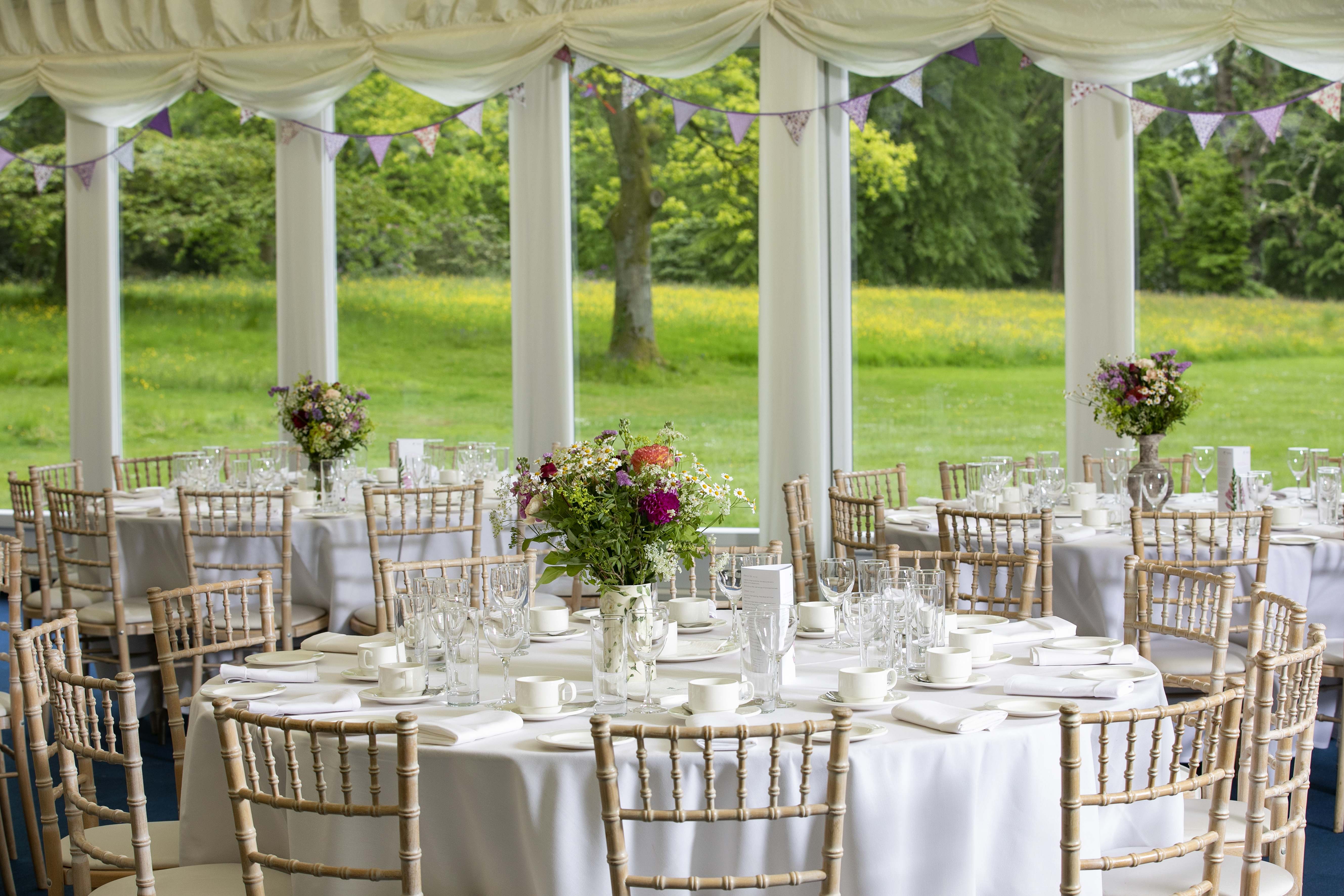 Marquee Sites - a1scjvap5ux.jpg