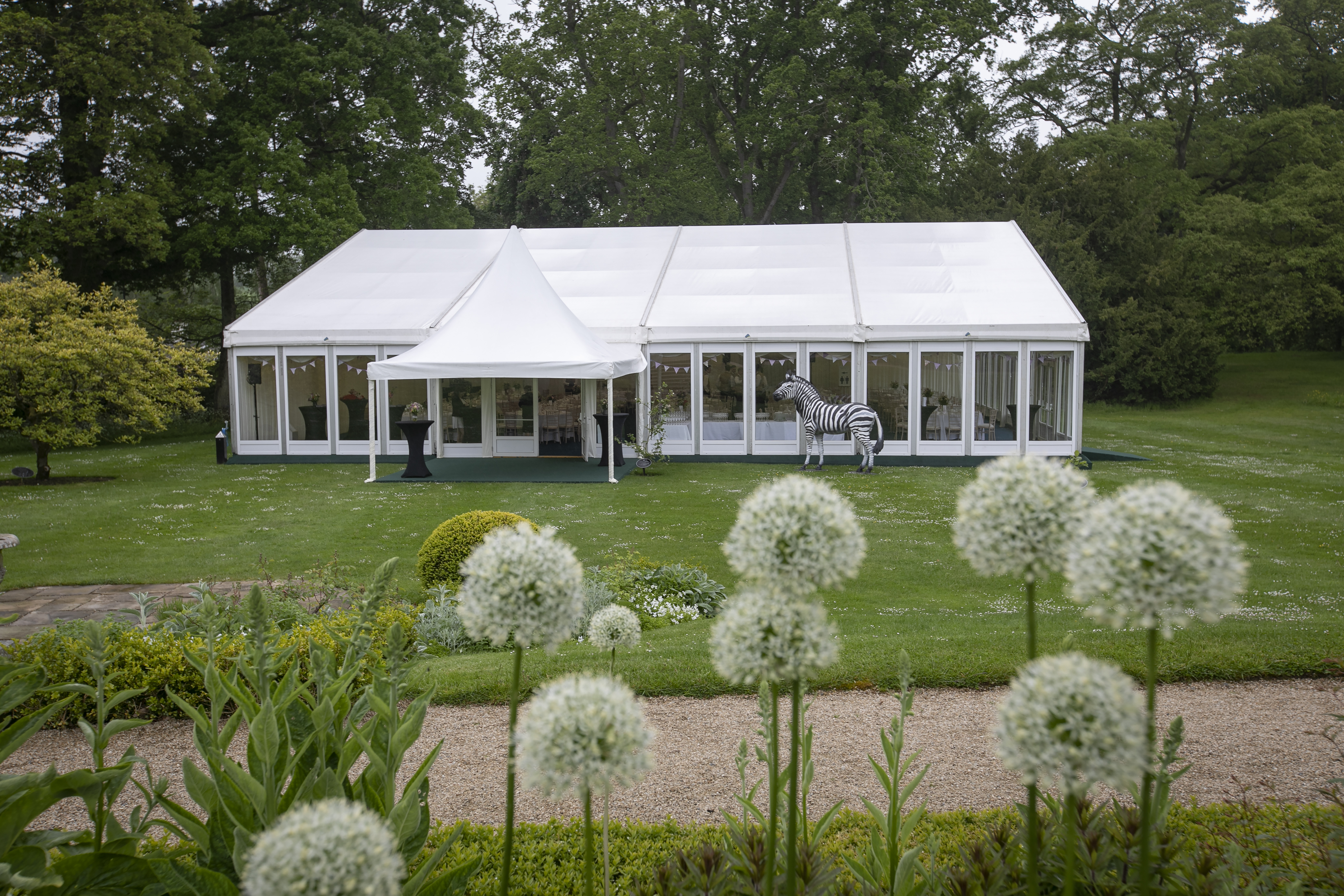 Marquee Sites - bzteipet4nl.jpg