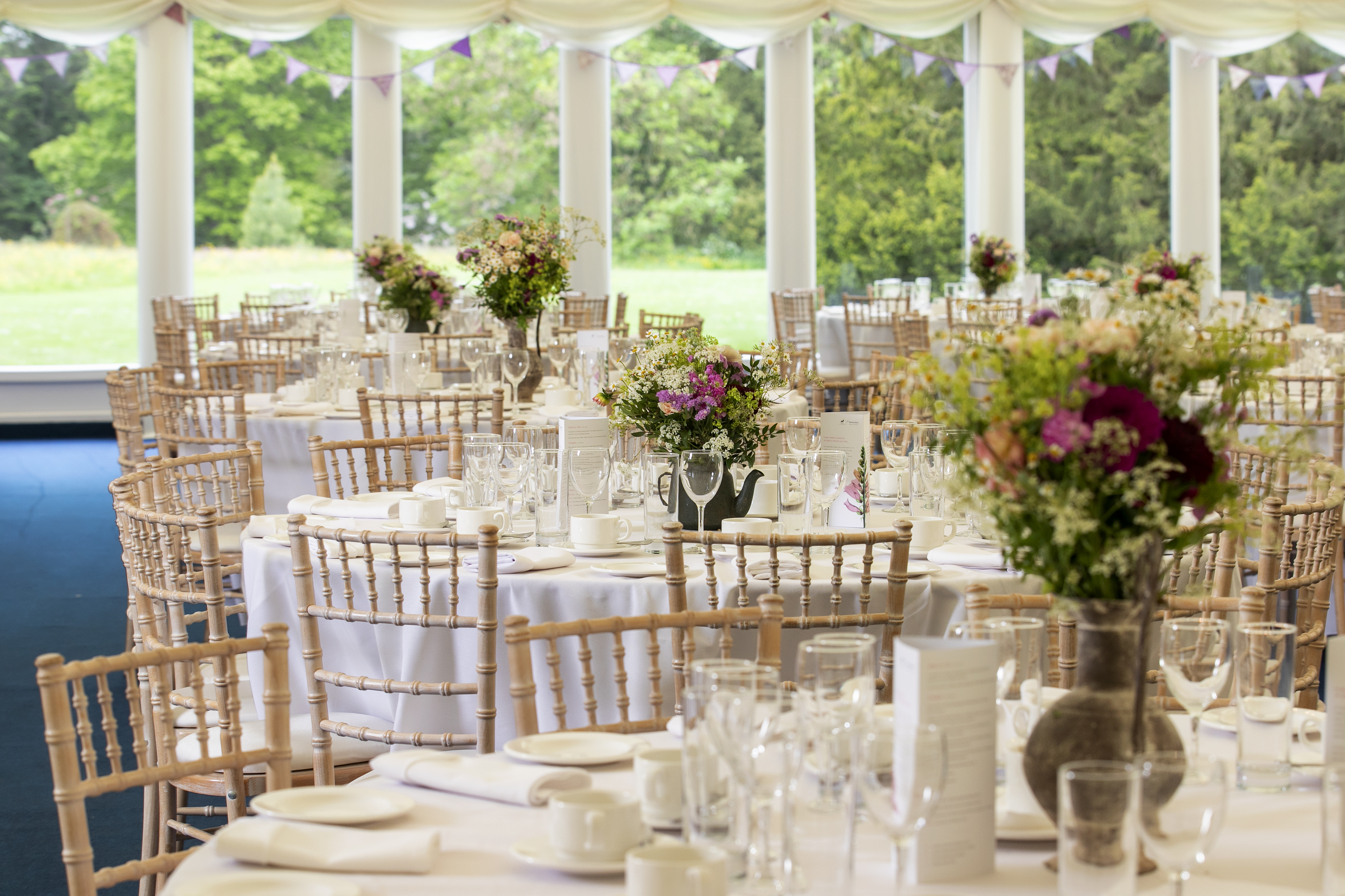 Marquee Sites - ju5jxlvosux.jpg