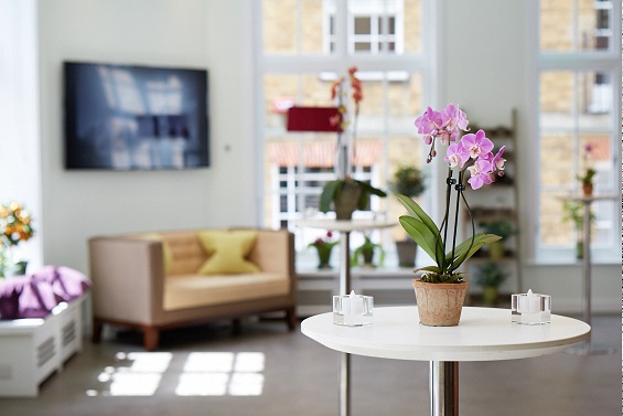 The Green House - cdth0nuujtv.jpg