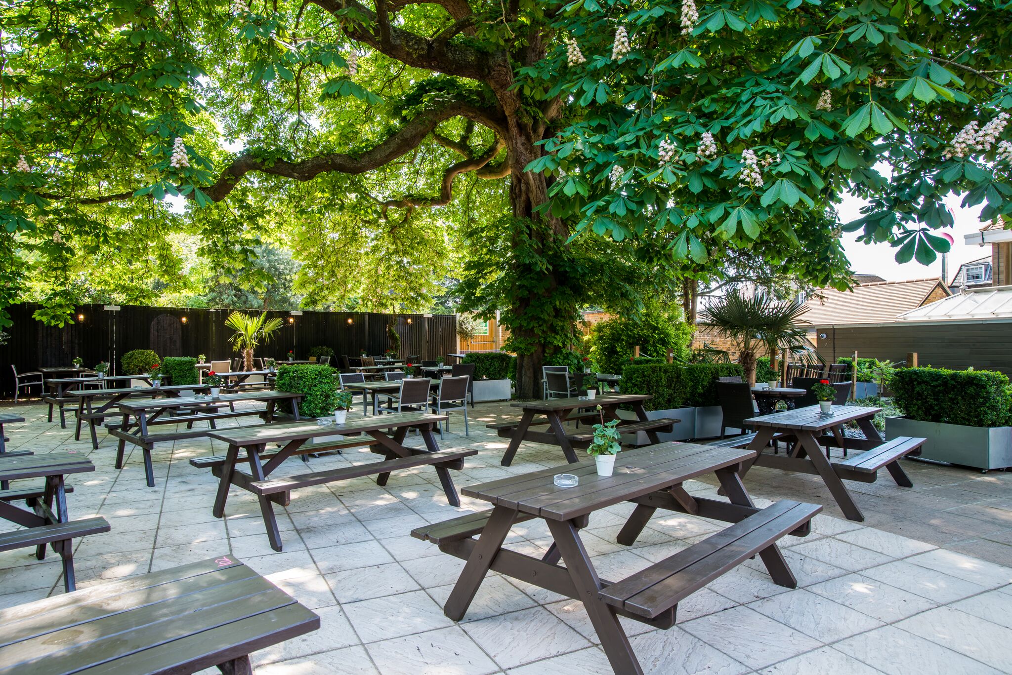 Garden - gcnfkzerzby.jpg