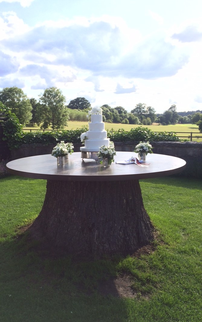 The Tower House - mr5zxek5jpk.jpg