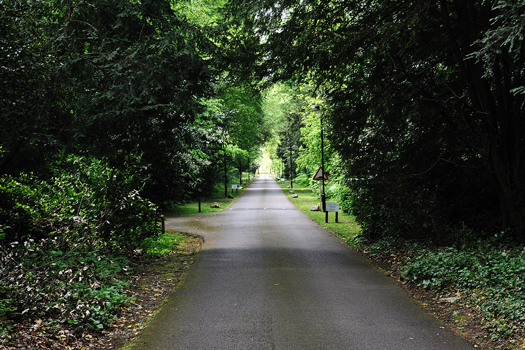 Serene tree-lined pathway at Charles Suite, Pendley Manor for outdoor events and retreats.
