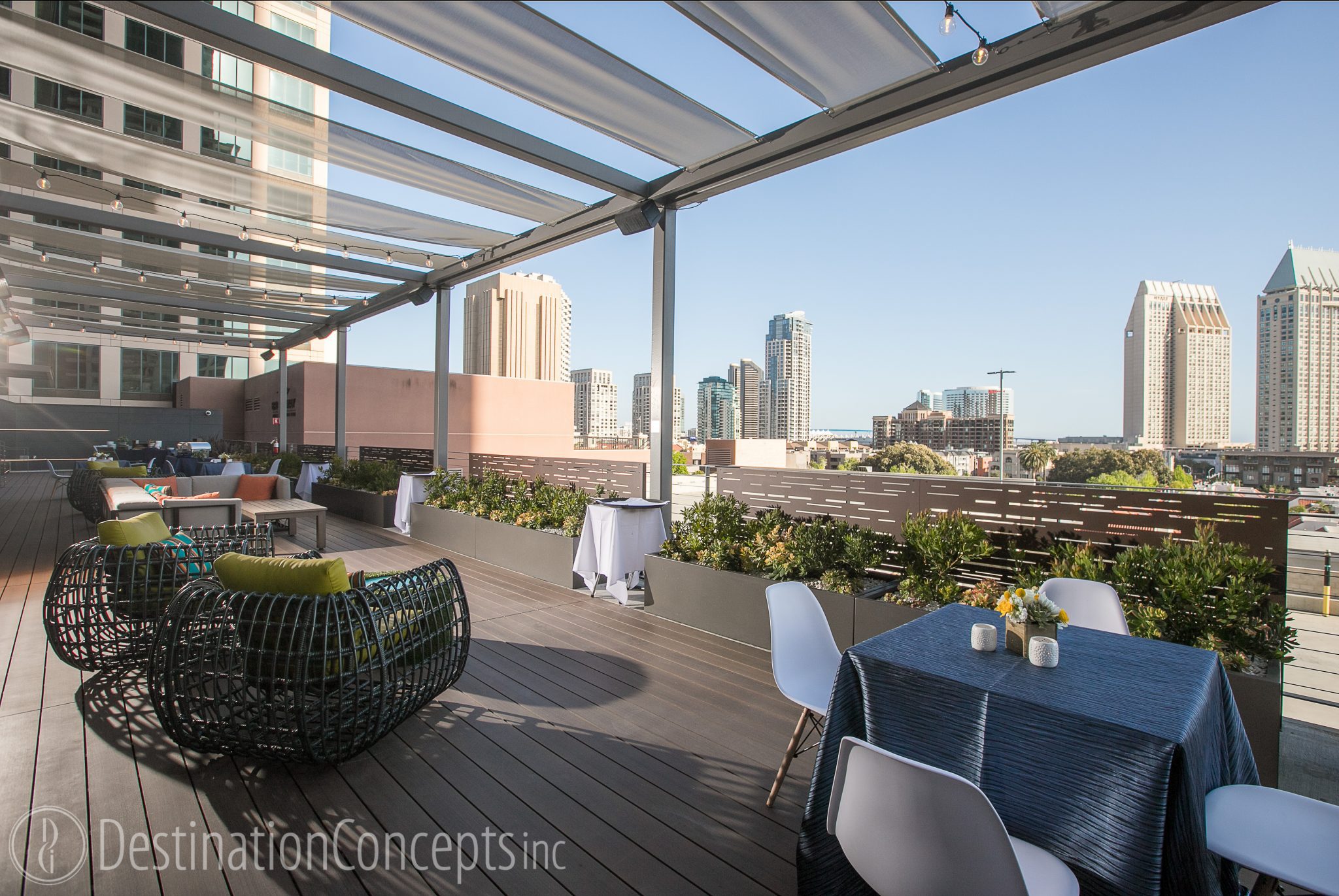 Deck 655 | Snake Oil Cocktail Co.