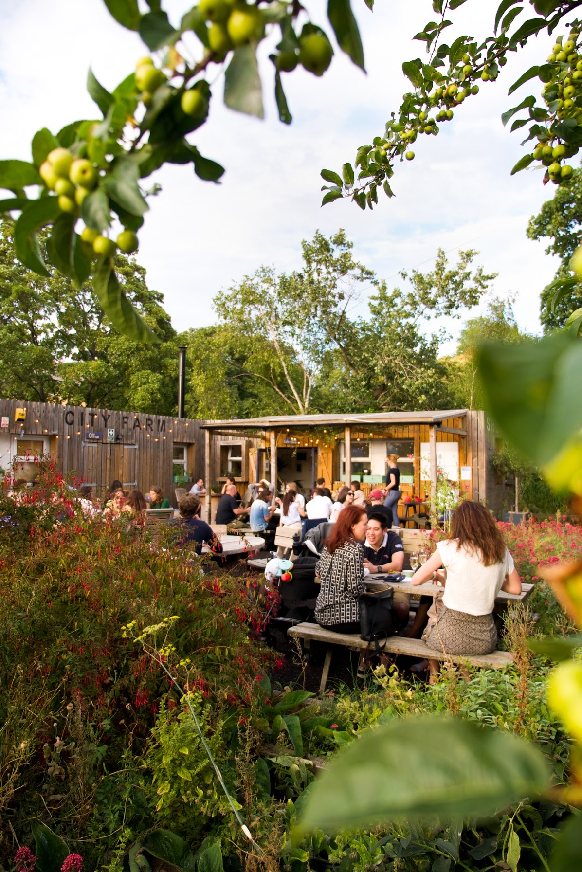 Whole Venue - ptt2kwzsemz.jpeg