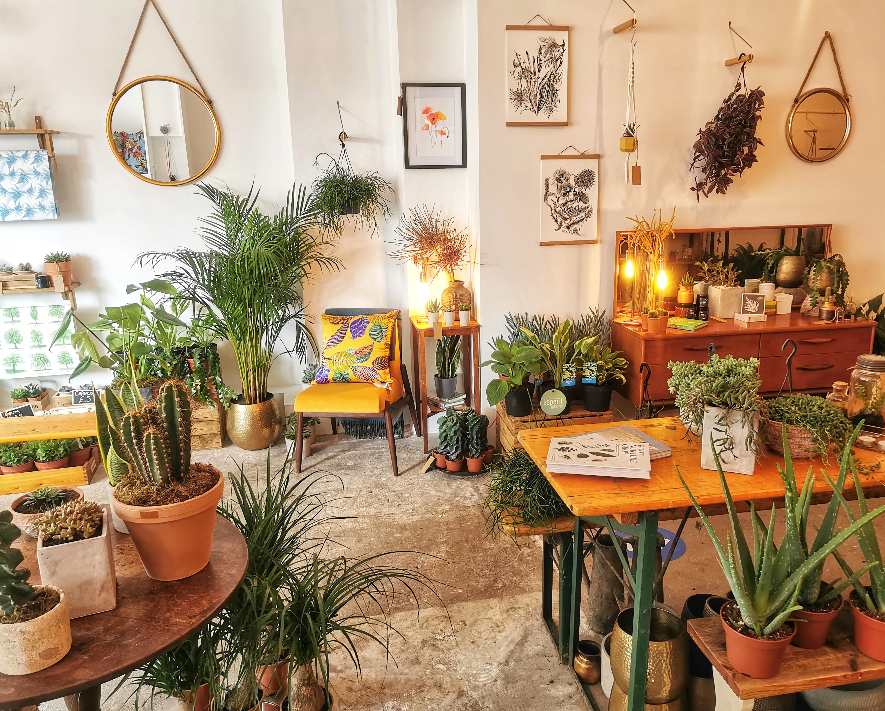 Whole Venue - nzjzfqk4i5l.jpeg