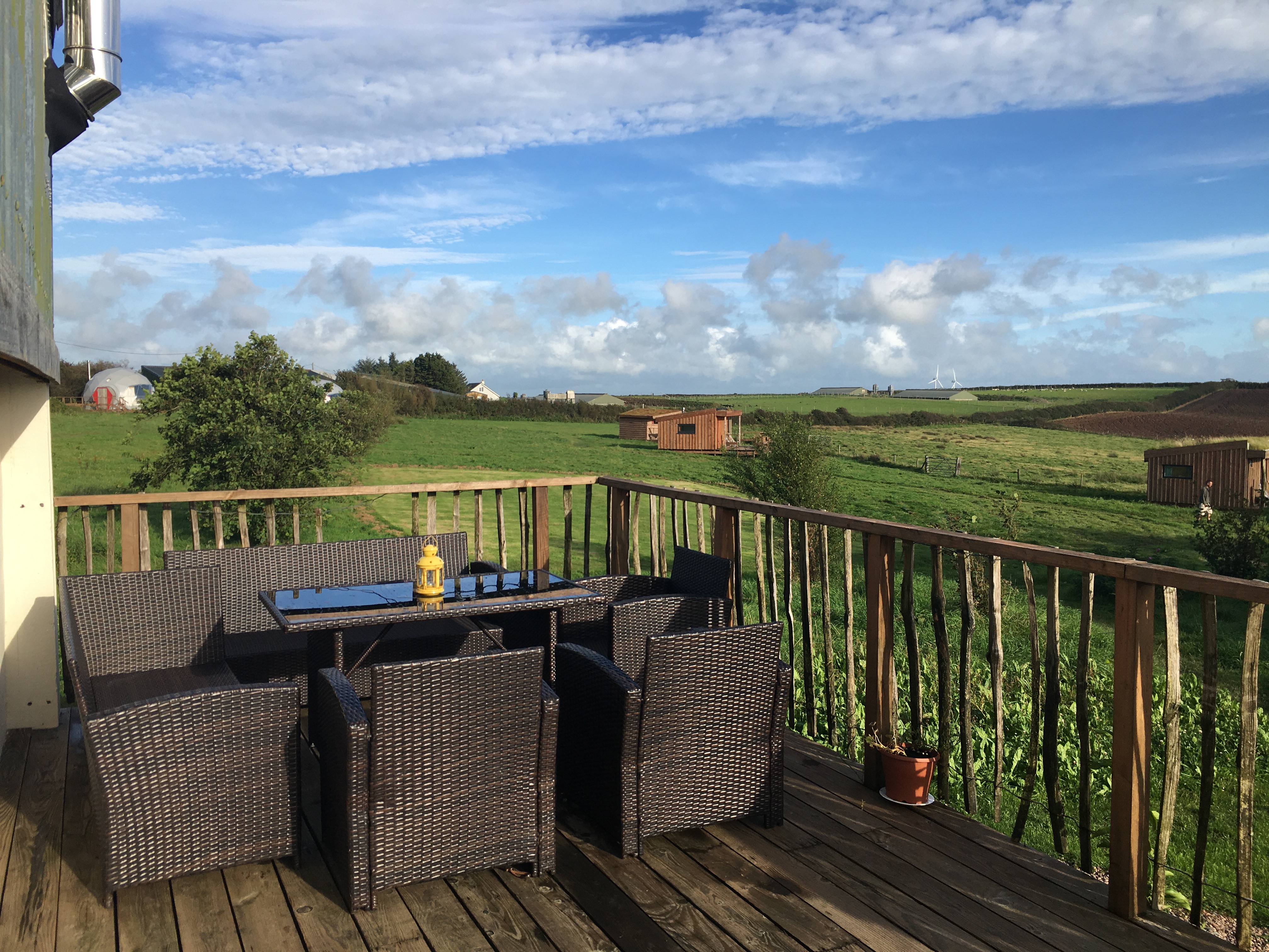 Serene outdoor meeting space with koa tree, ideal for team retreats and brainstorming sessions.