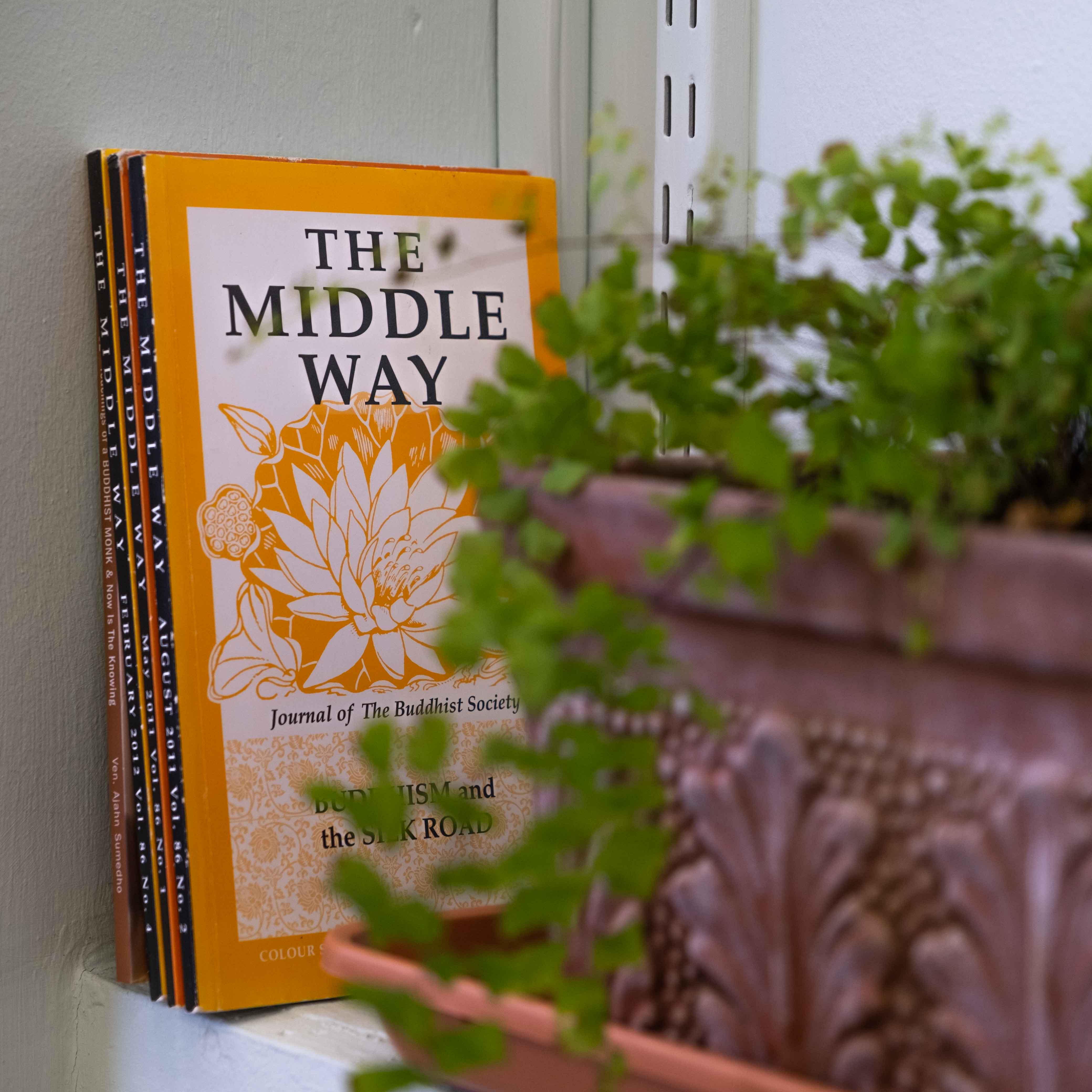 Zenw2 Collective - wtxgeu40jyz.jpg