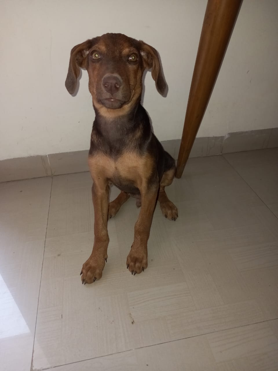 Terrace - nmq4g3lbrcw.jpeg