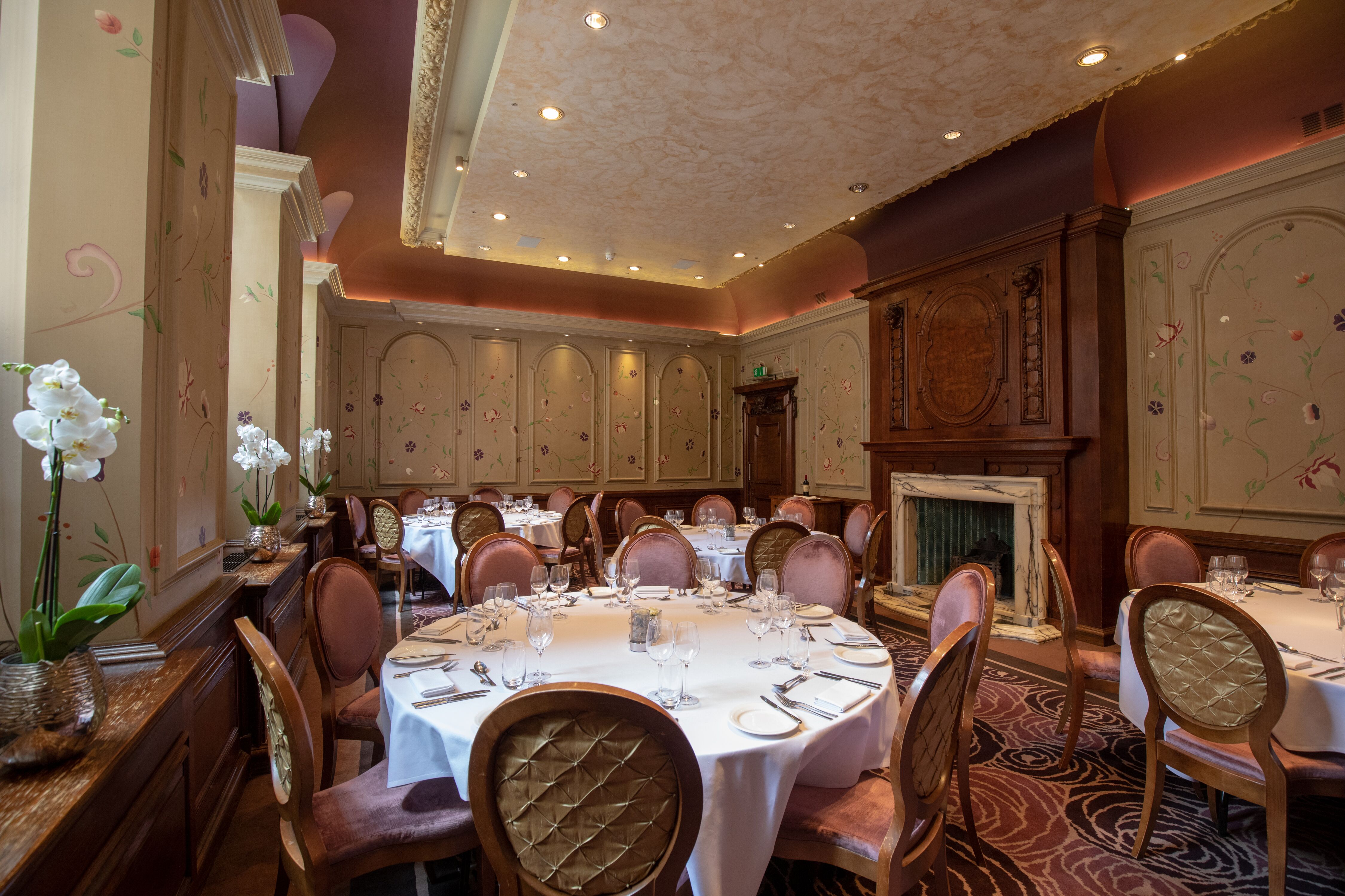 Eden  - dydszy5svyn.jpeg