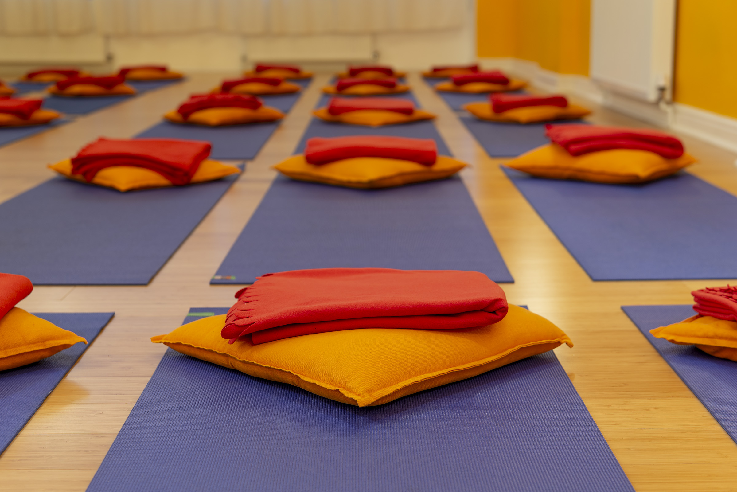 Shiva Studio at Tara Yoga Centre: vibrant yoga mats for mindfulness sessions and retreats.