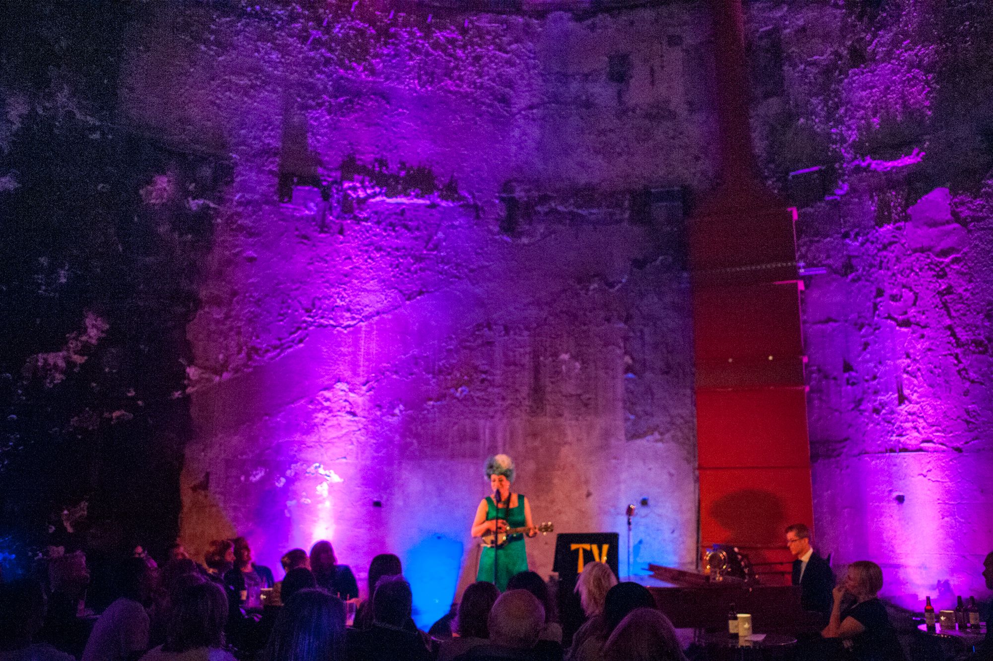 "Vibrant performer on stage at Tunnel Shaft, Brunel Museum for intimate events."