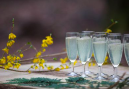 Elegant champagne flutes and yellow flowers in The Great Hall, perfect for celebrations.