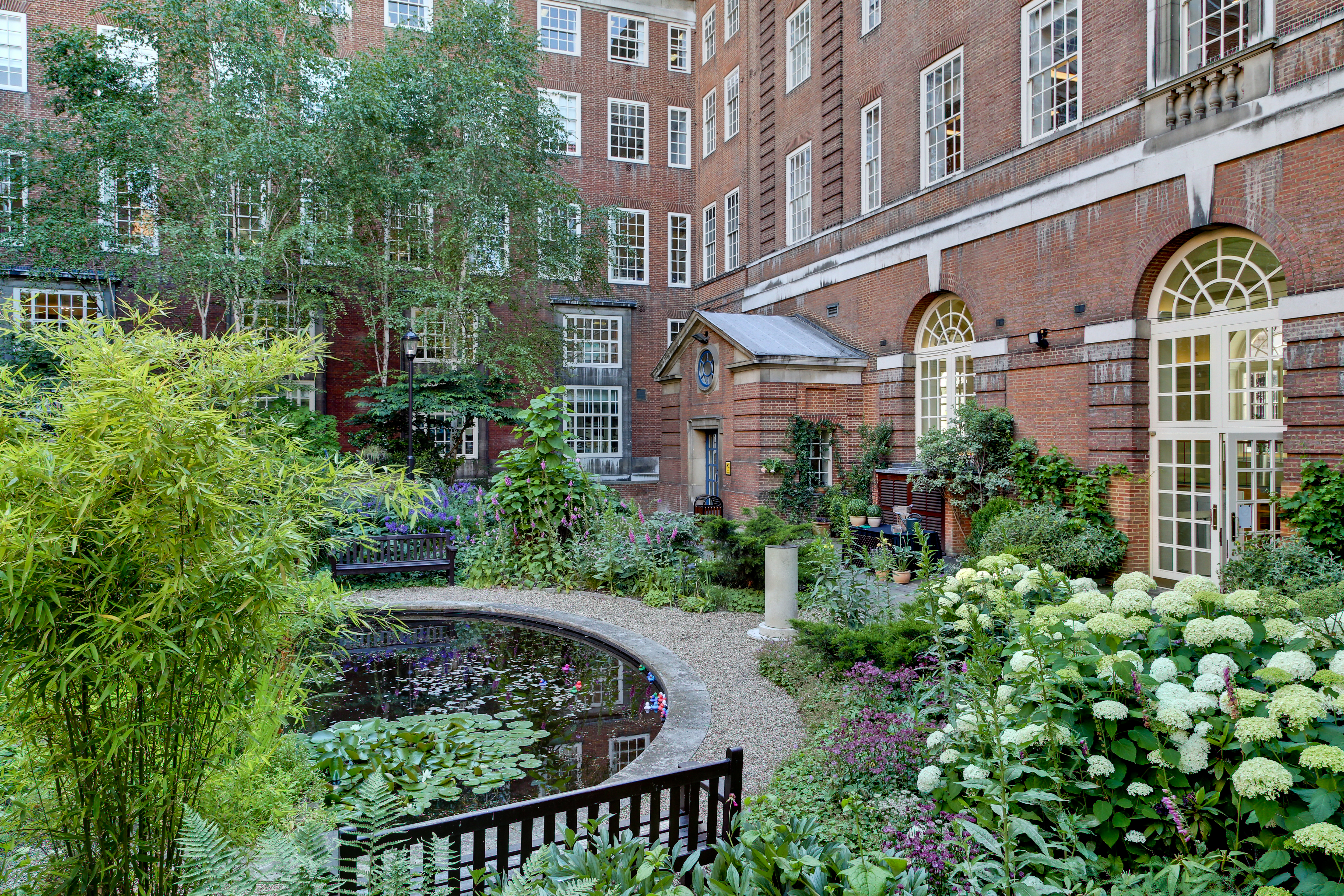 The Garden - 636df29e-0787-4449-9763-f67597f6129f.jpg