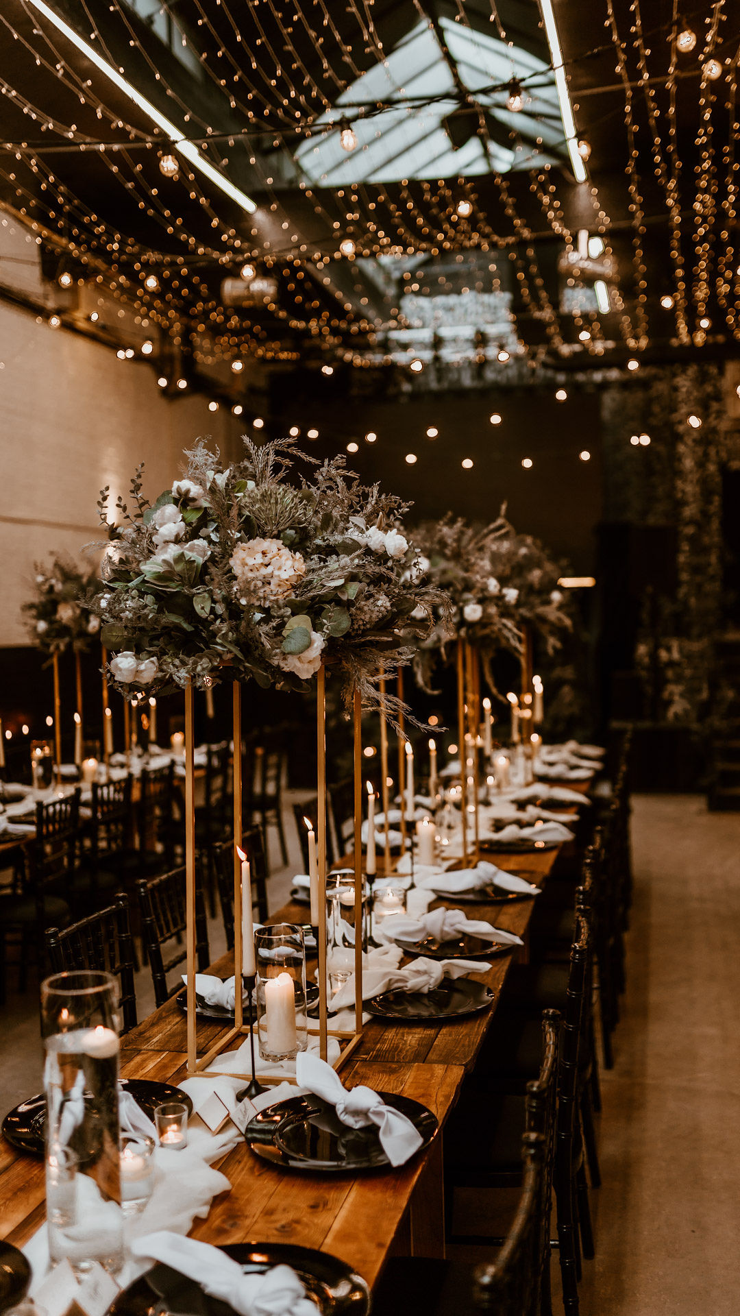 Vennel - 0hiuaxughpb.JPG