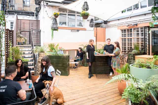 The Terrace