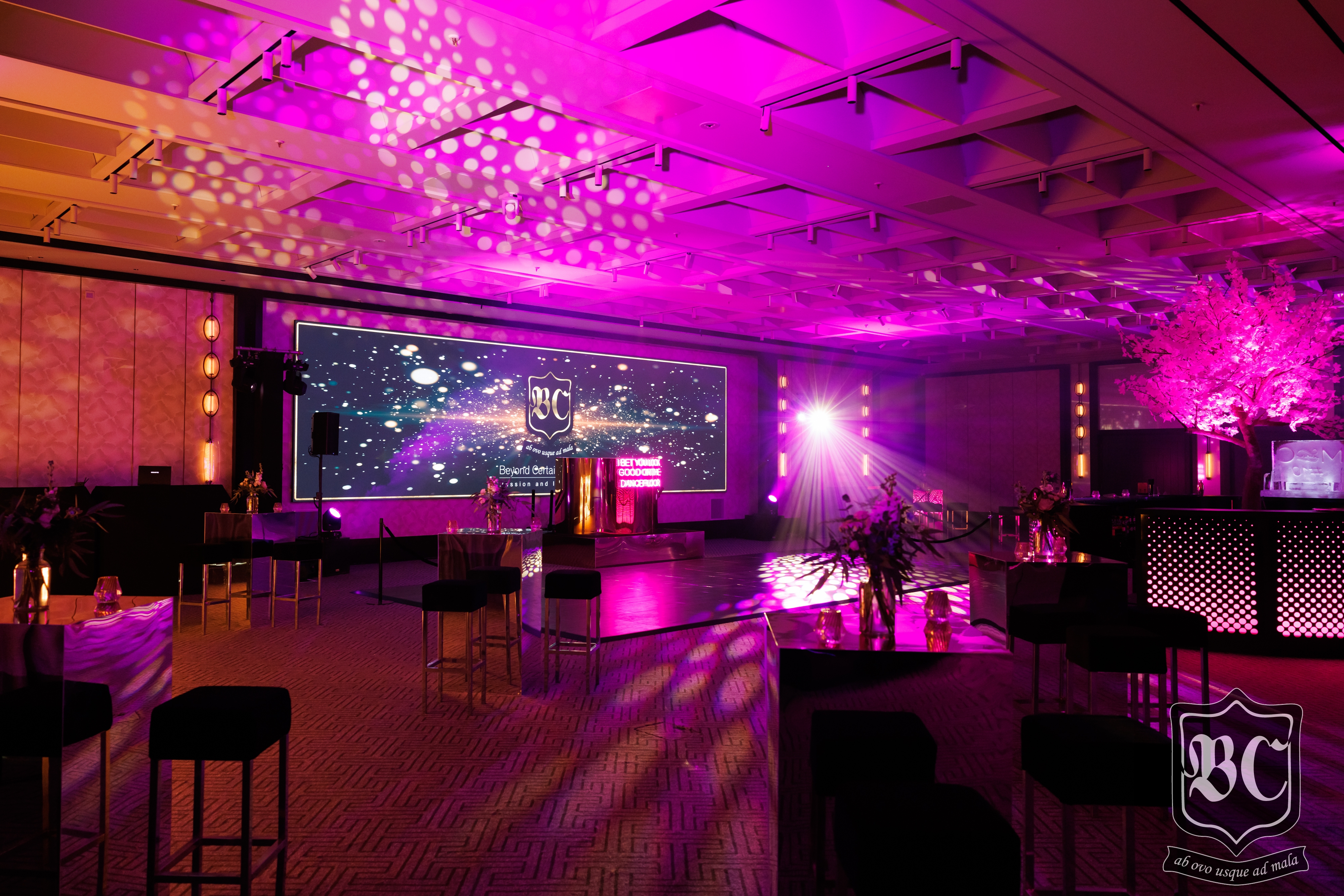 Ballroom - nmruq0rvgyn.jpg