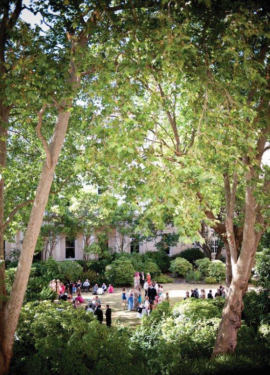 Lush outdoor space at Carlton House Terrace for summer parties and networking events.