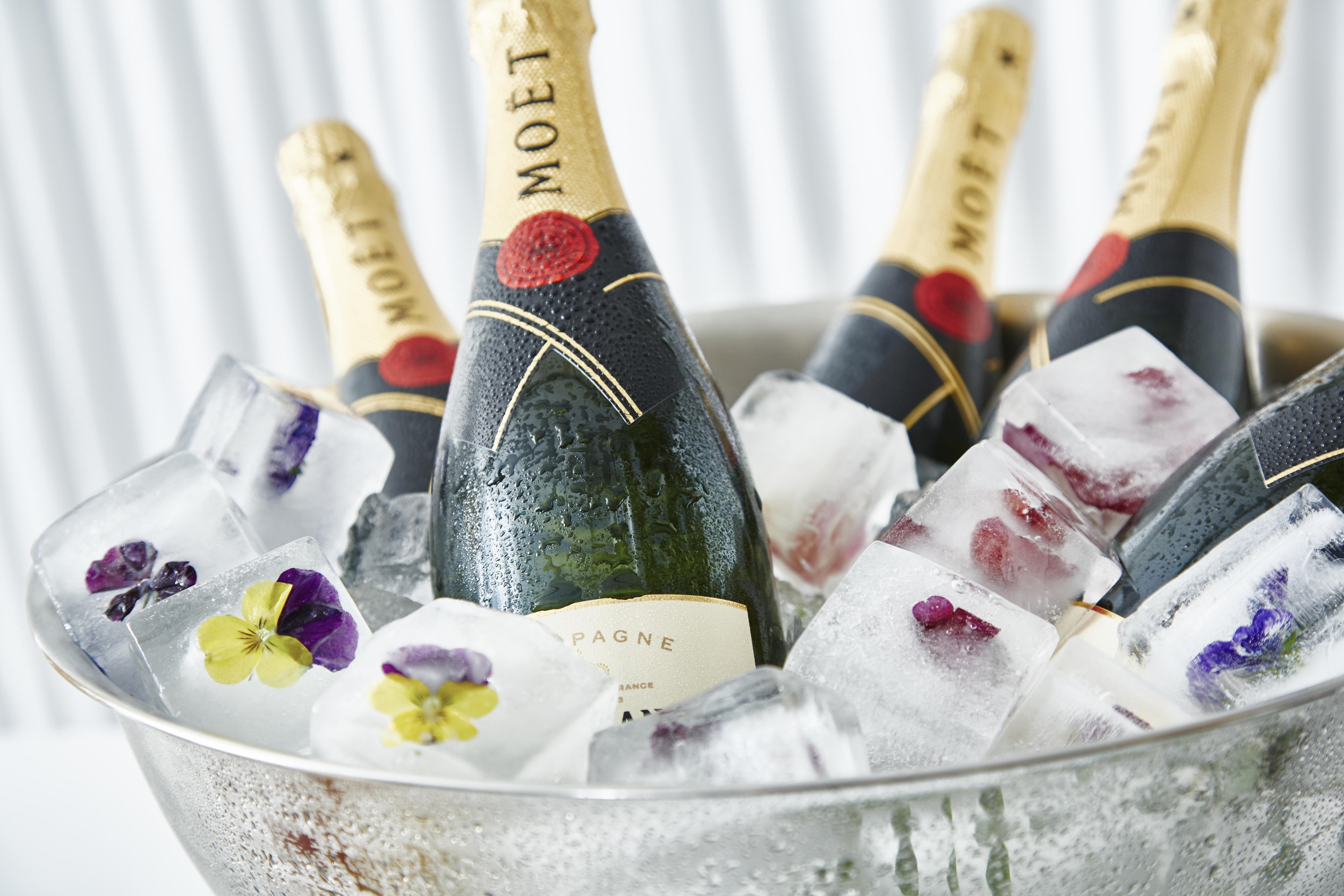 Elegant Moët champagne in floral ice bucket for upscale events at Delta Hotels Preston.