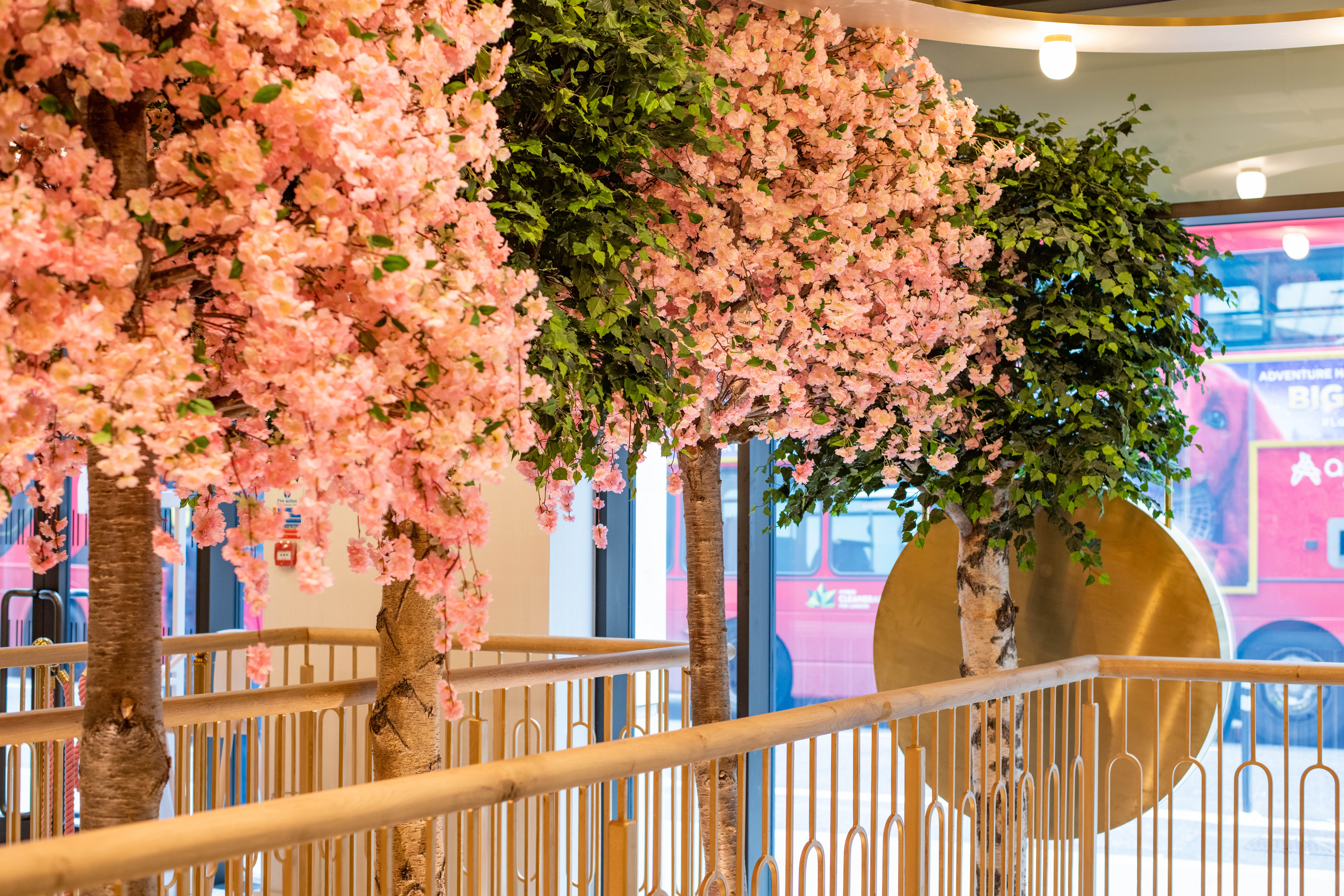 Full Venue  - onpeb2ob1sm.JPG