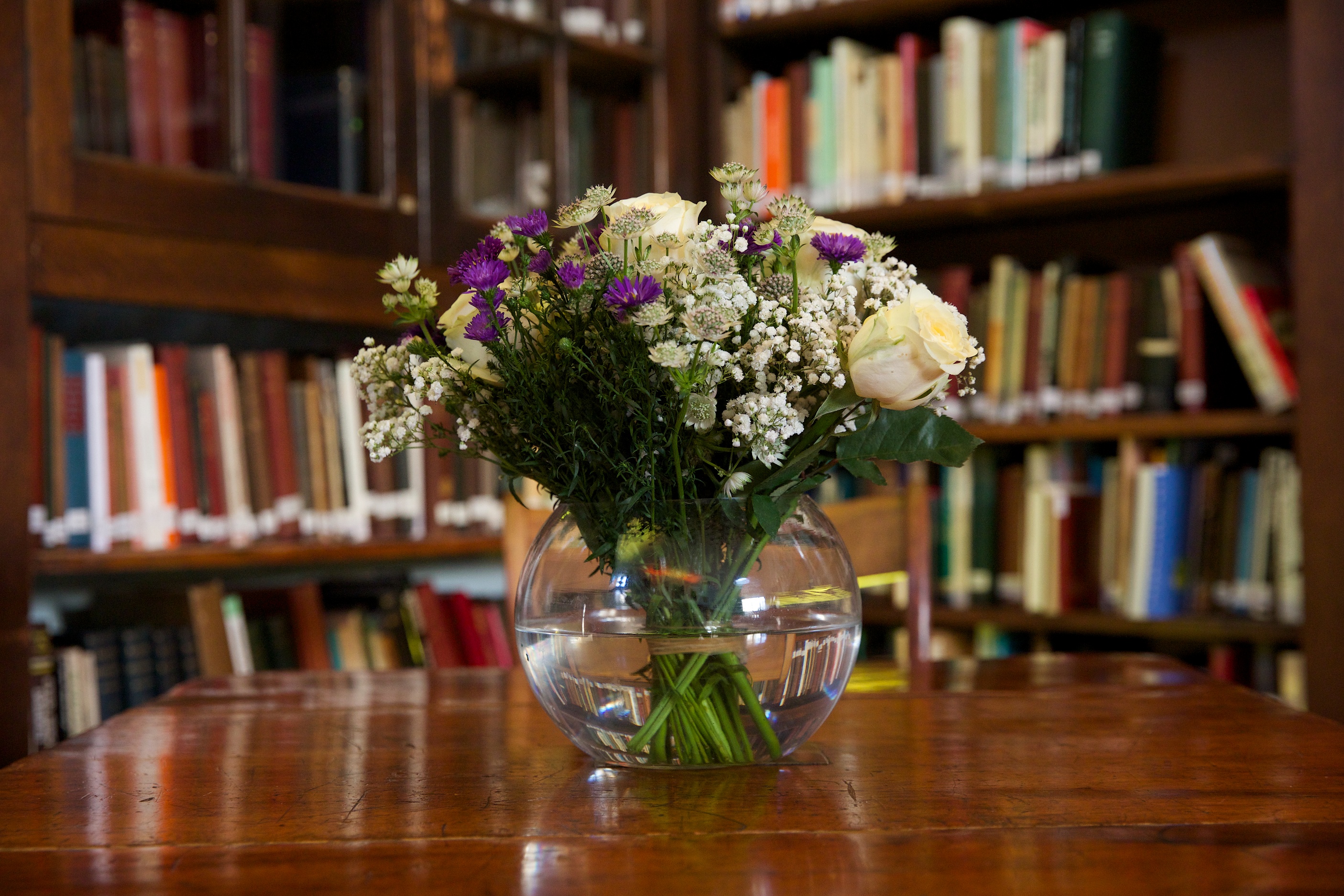 Library - sstxt20jyai.jpg