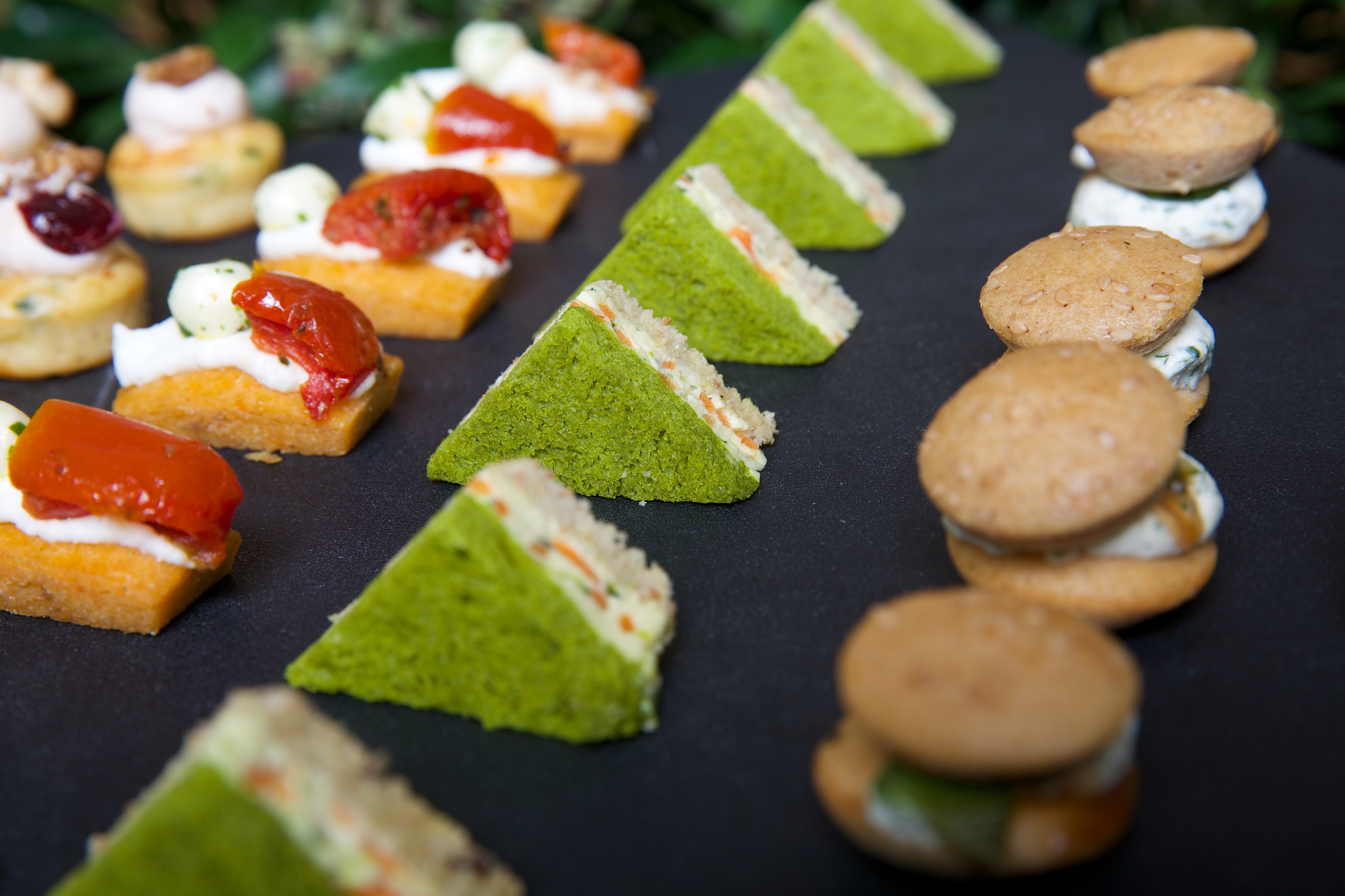 Library - xtrhjnglm04.jpg