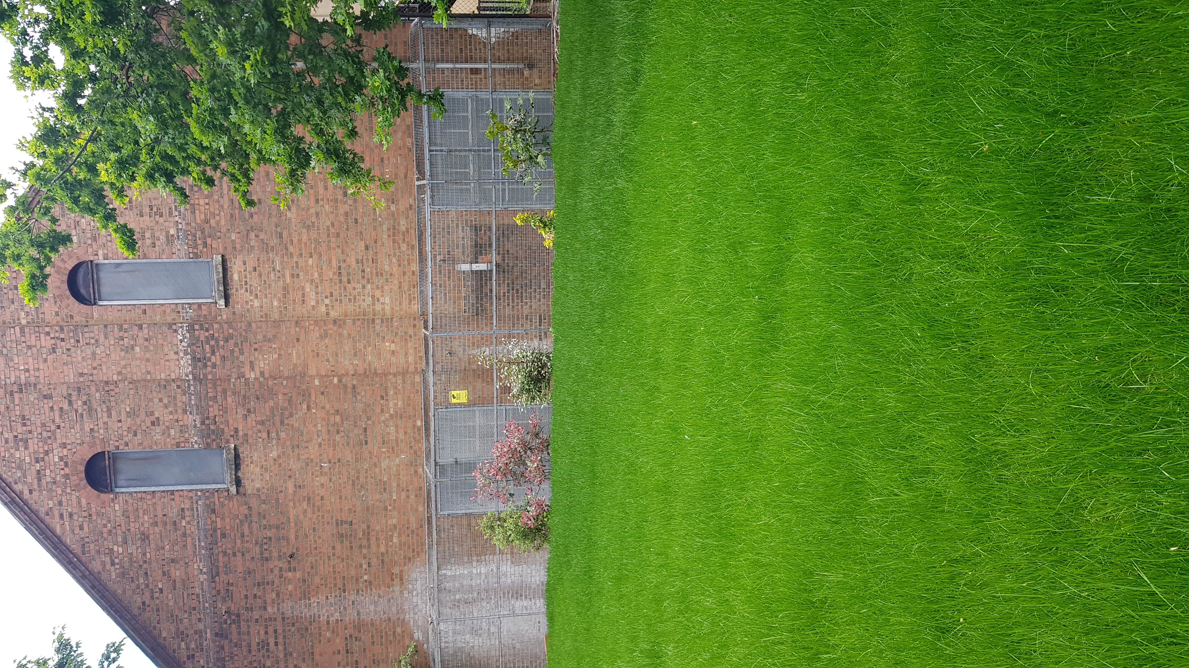 Vibrant green lawn in Hargrave Hall garden, perfect for outdoor events and gatherings.