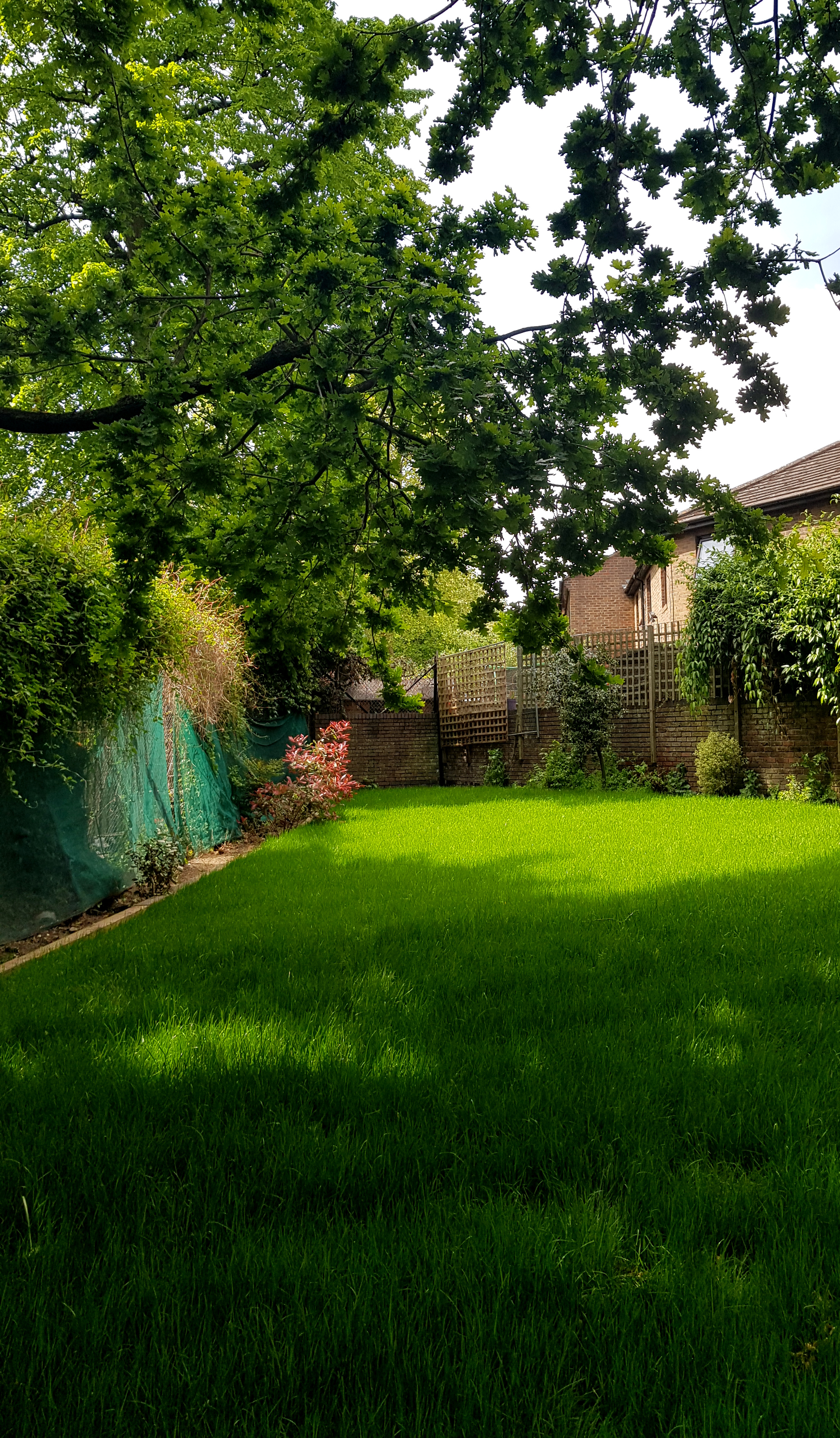 Lush garden in Hargrave Hall, ideal for outdoor events and gatherings.