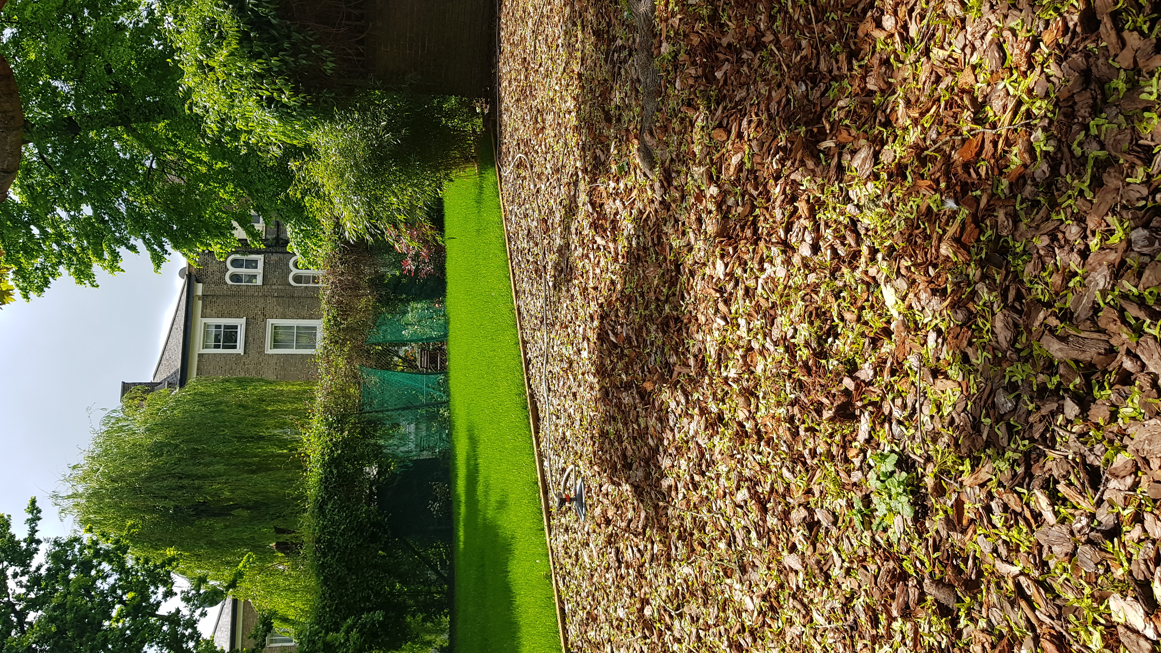 Lush garden in Hargrave Hall, perfect for events and gatherings.