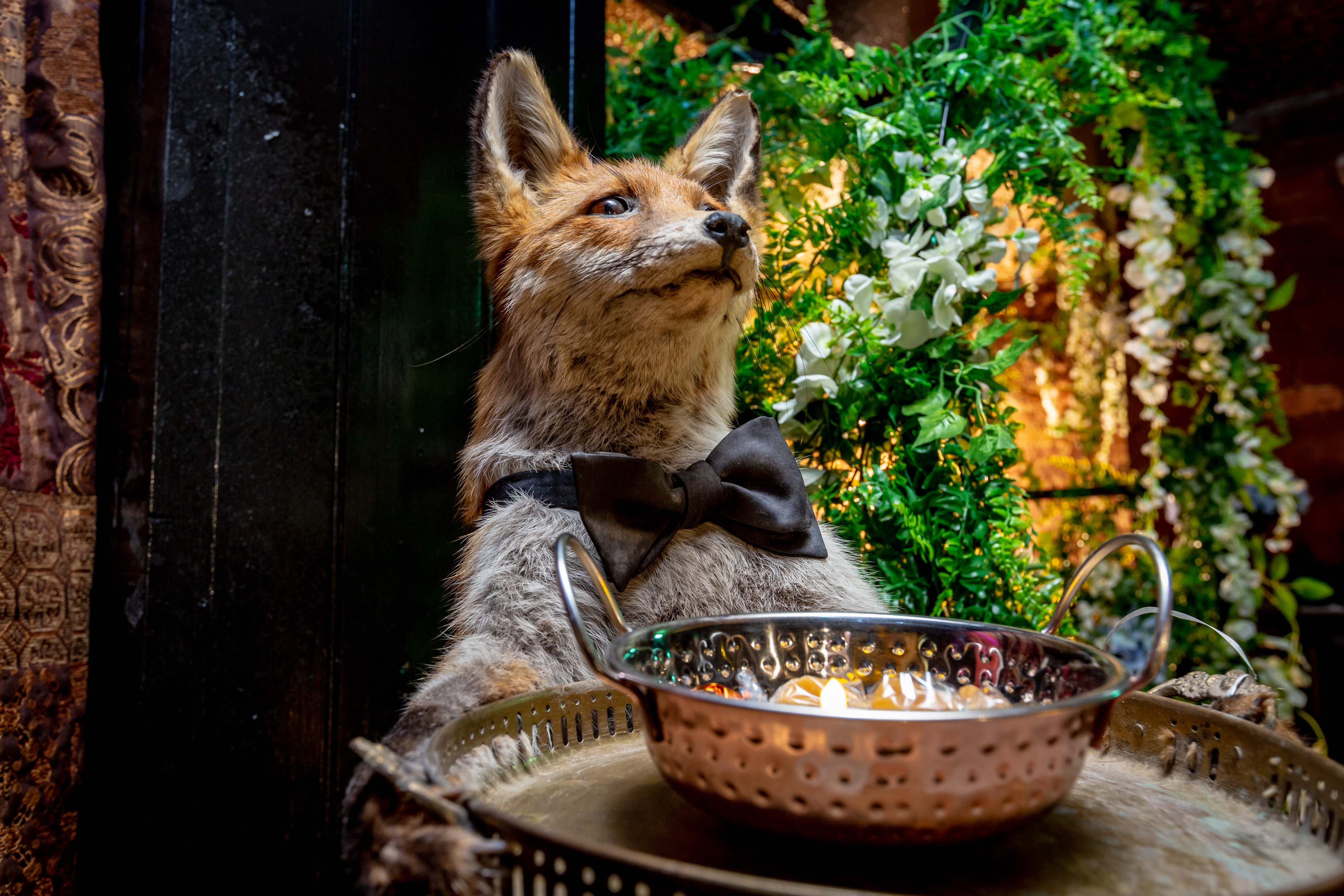Taxidermy fox in bow tie serving snacks at London Cocktail Club Old Street event.