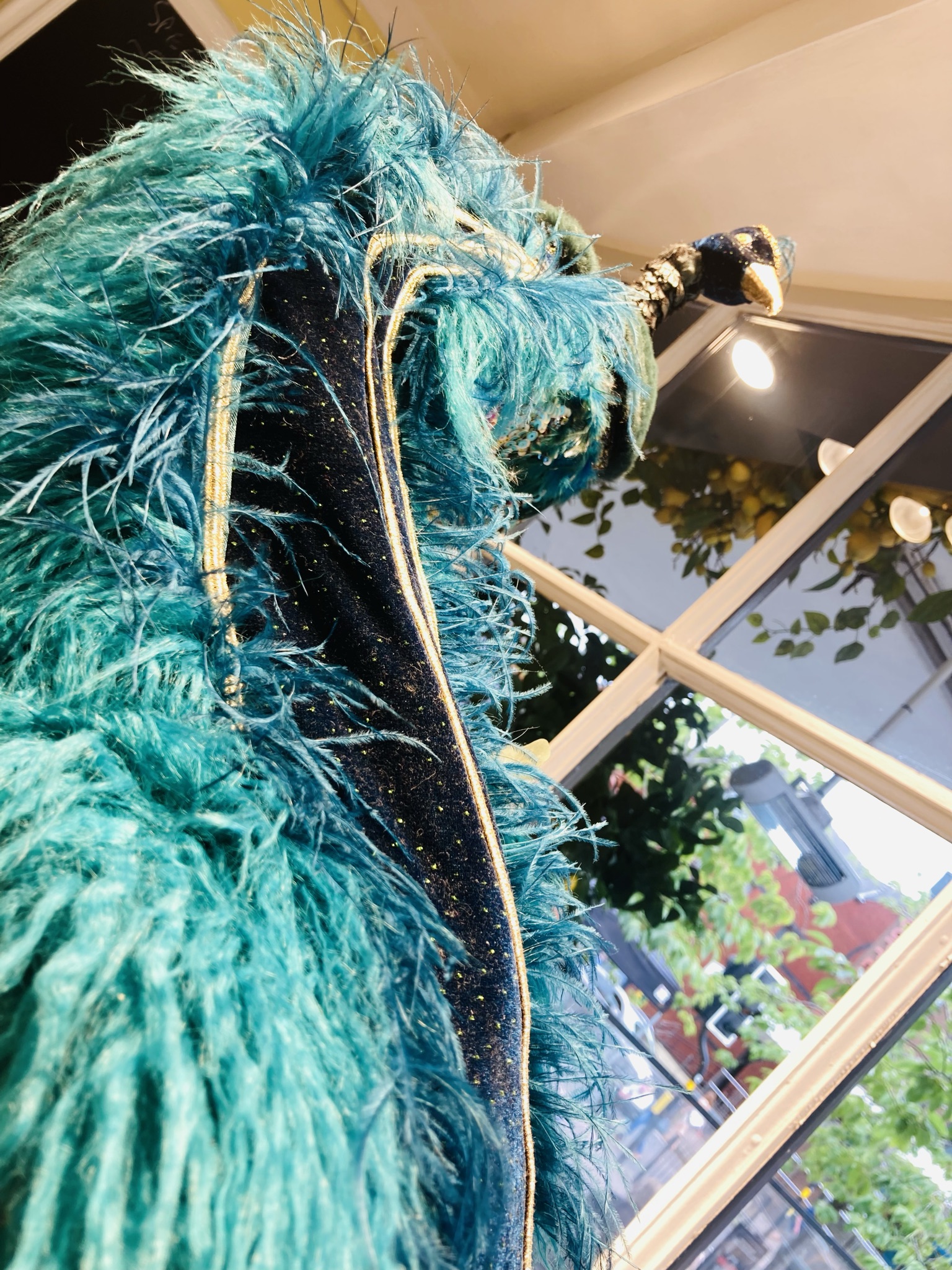 The Proud Sicilian - ztrfndht1l4.jpeg