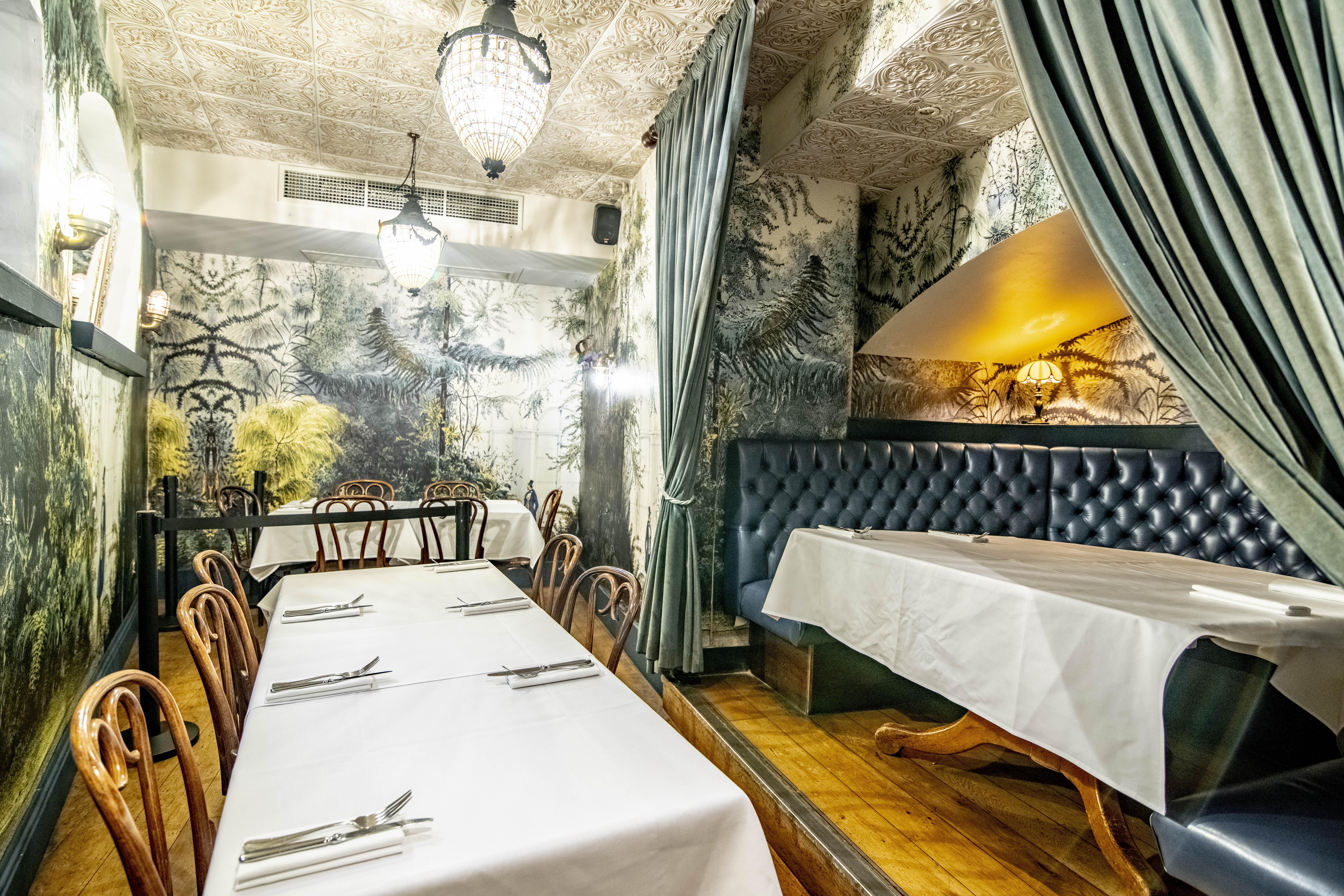 The Goat Cheslea - xsf3shra01f.jpg