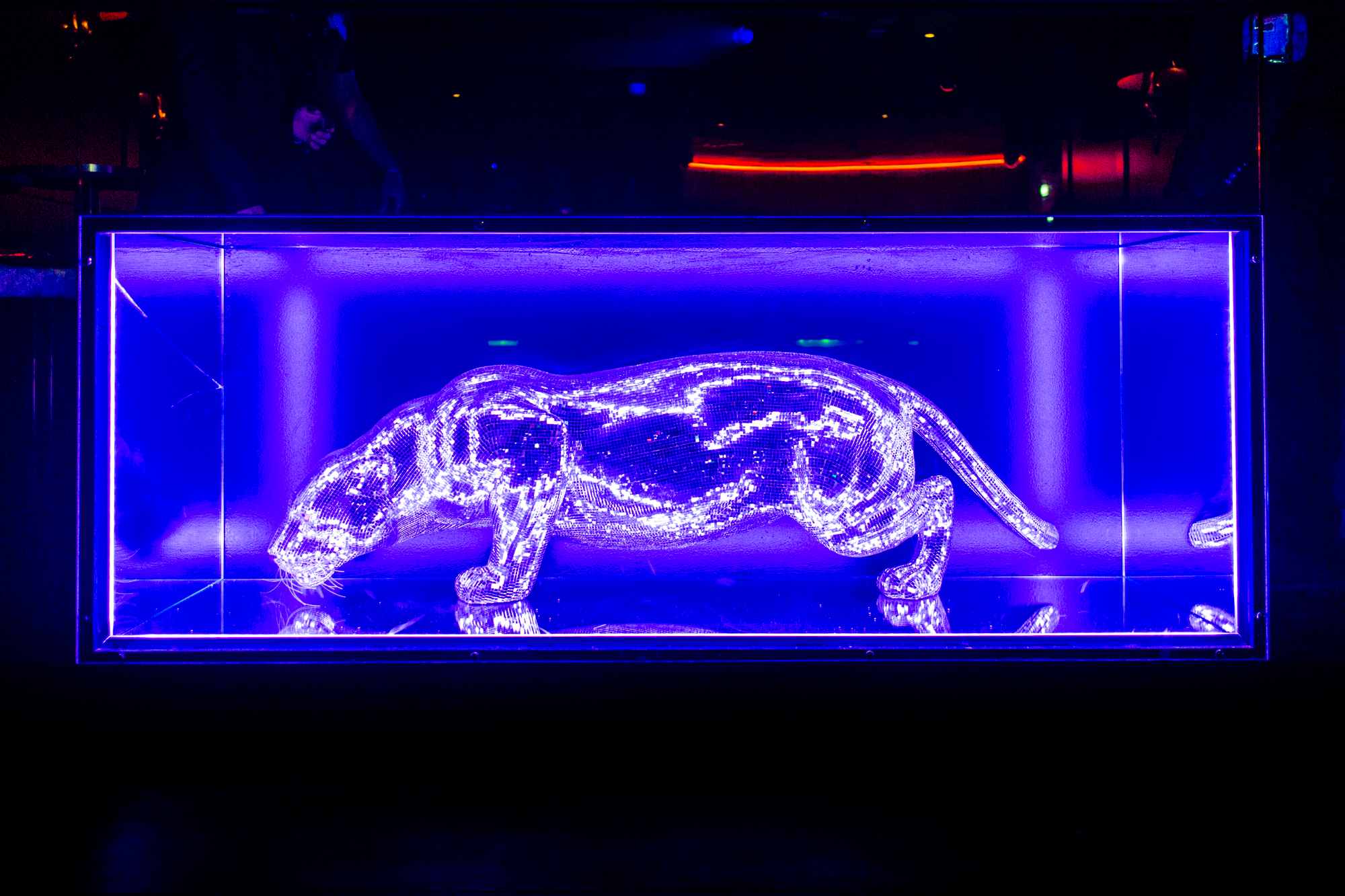 Ice panther sculpture illuminated in blue for upscale events at Wyld Club.
