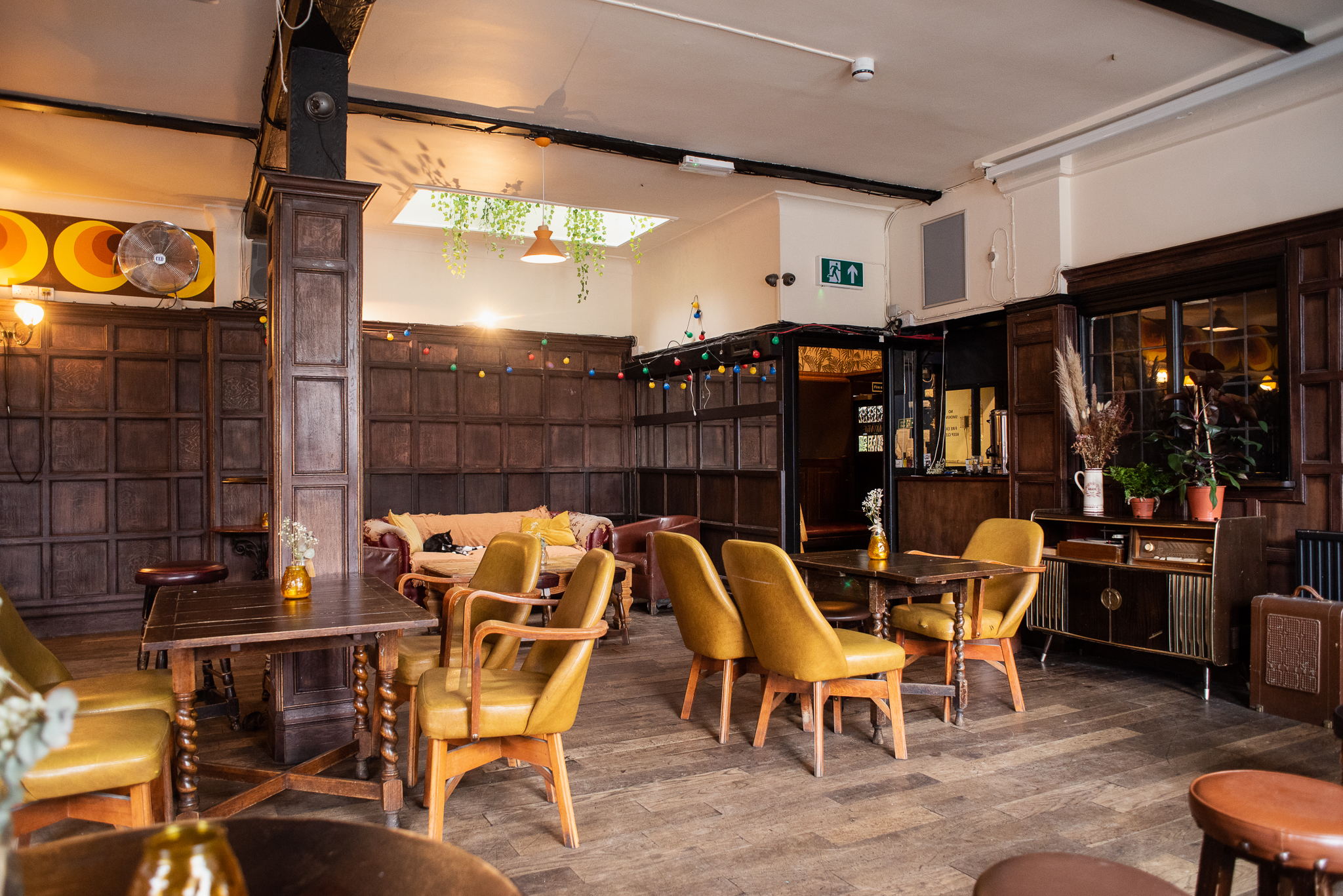 Cozy Beehive Function Room with wooden paneling for networking events and workshops.