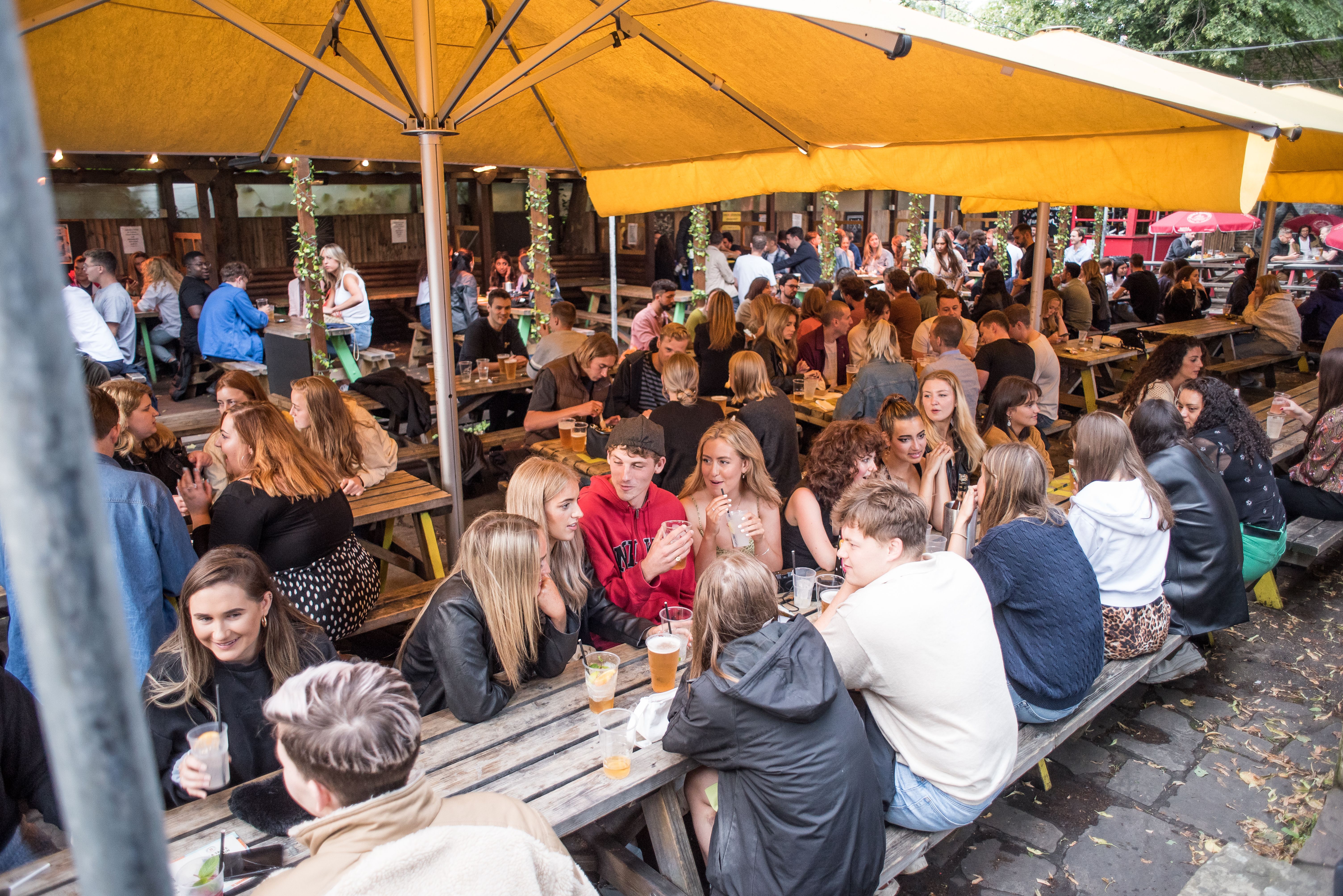 Beer Garden at The Duke of Edinburgh with yellow umbrellas, ideal for casual events and gatherings.