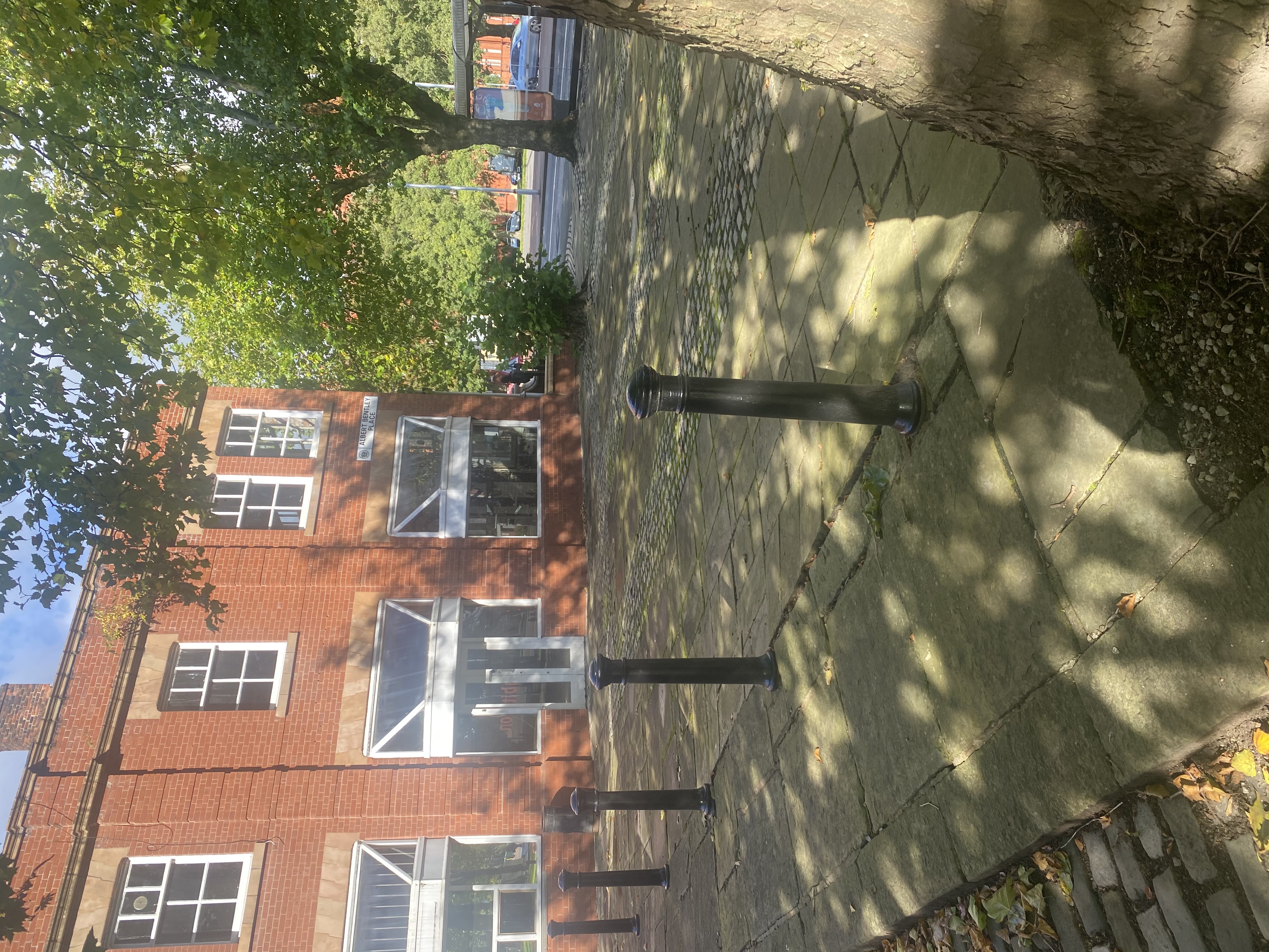 Outdoor space at Albert Bentley Place, ideal for events and gatherings with tree shadows.
