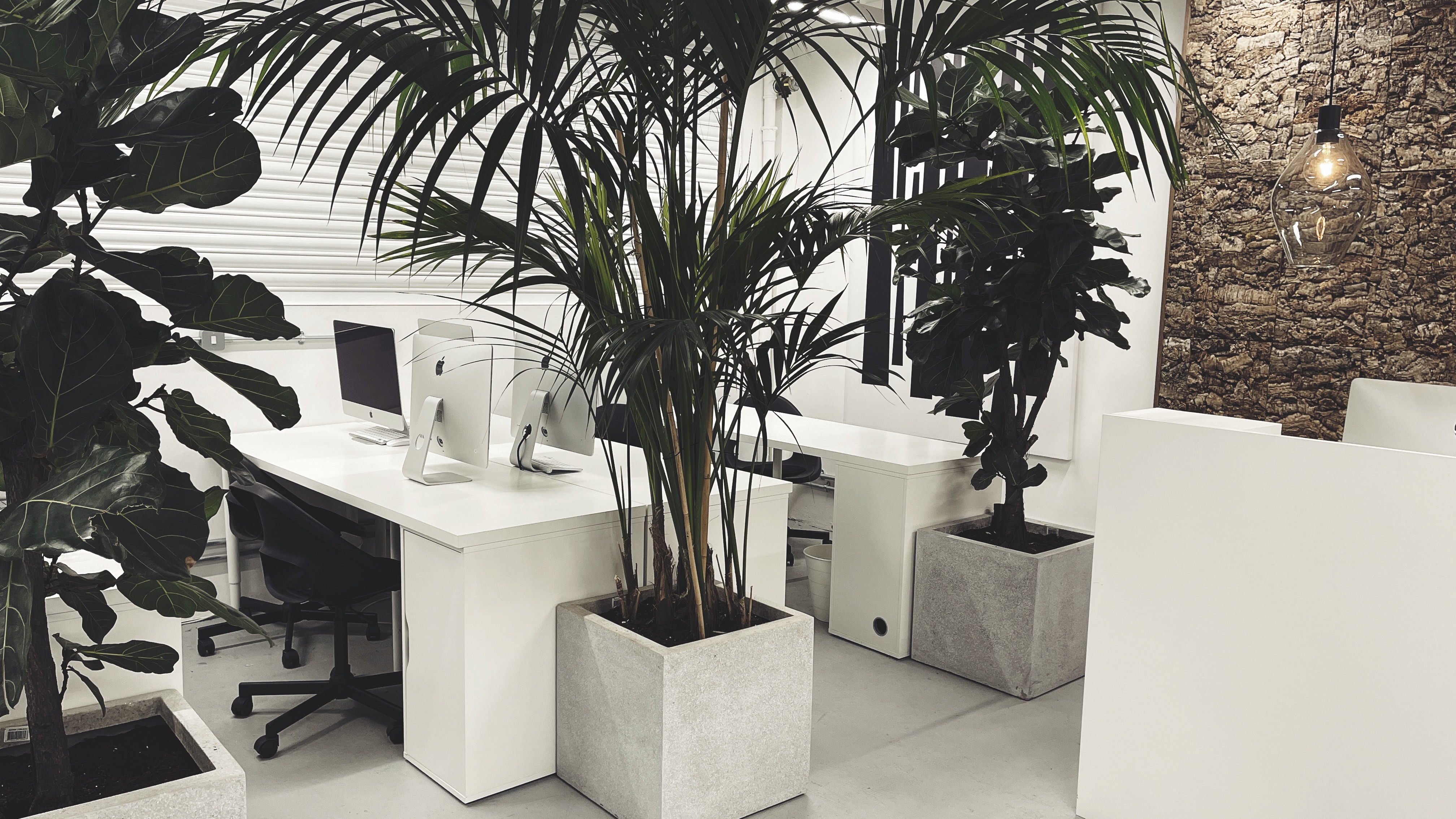 Modern office studio in Forrist with sleek desks and greenery for collaborative events.