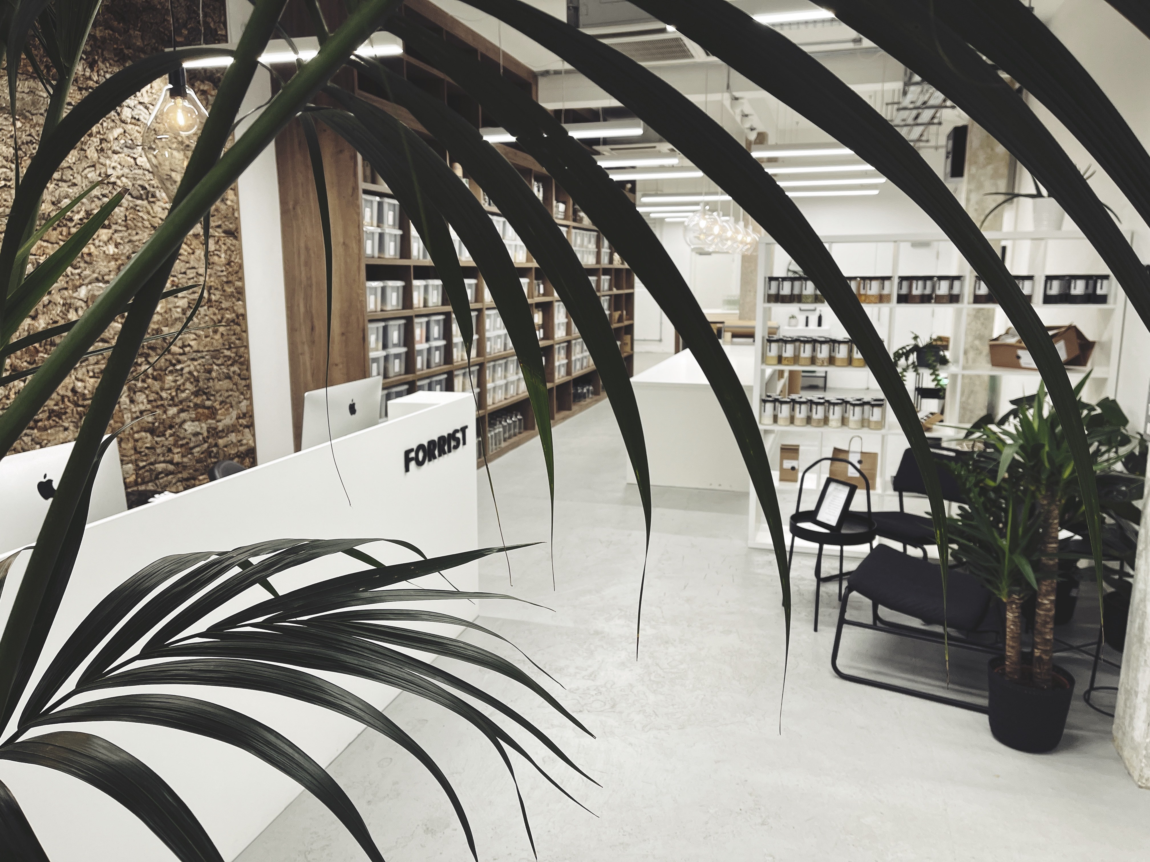 Modern event space in Forrist with plants, perfect for workshops and gatherings.