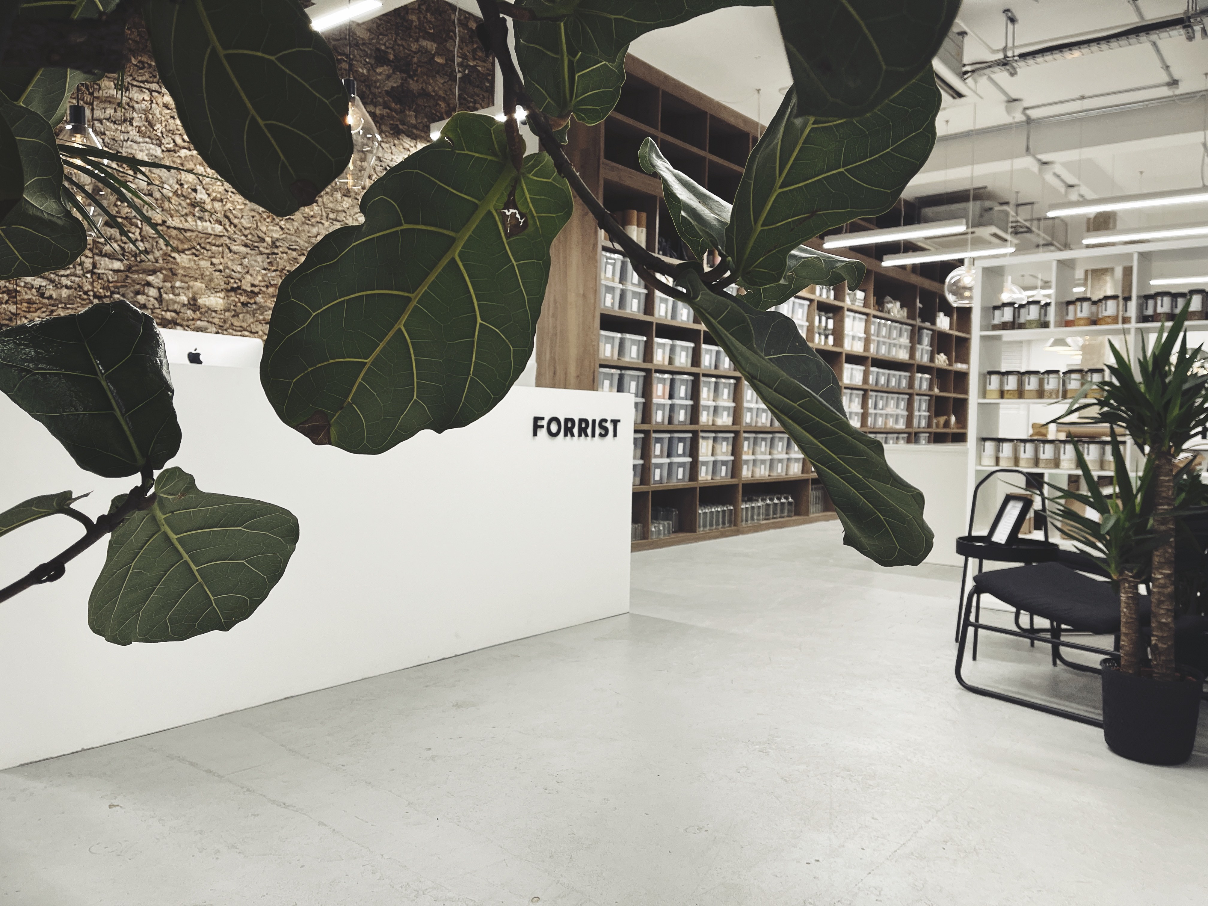 Modern event space in Forrist with greenery, perfect for meetings and workshops.