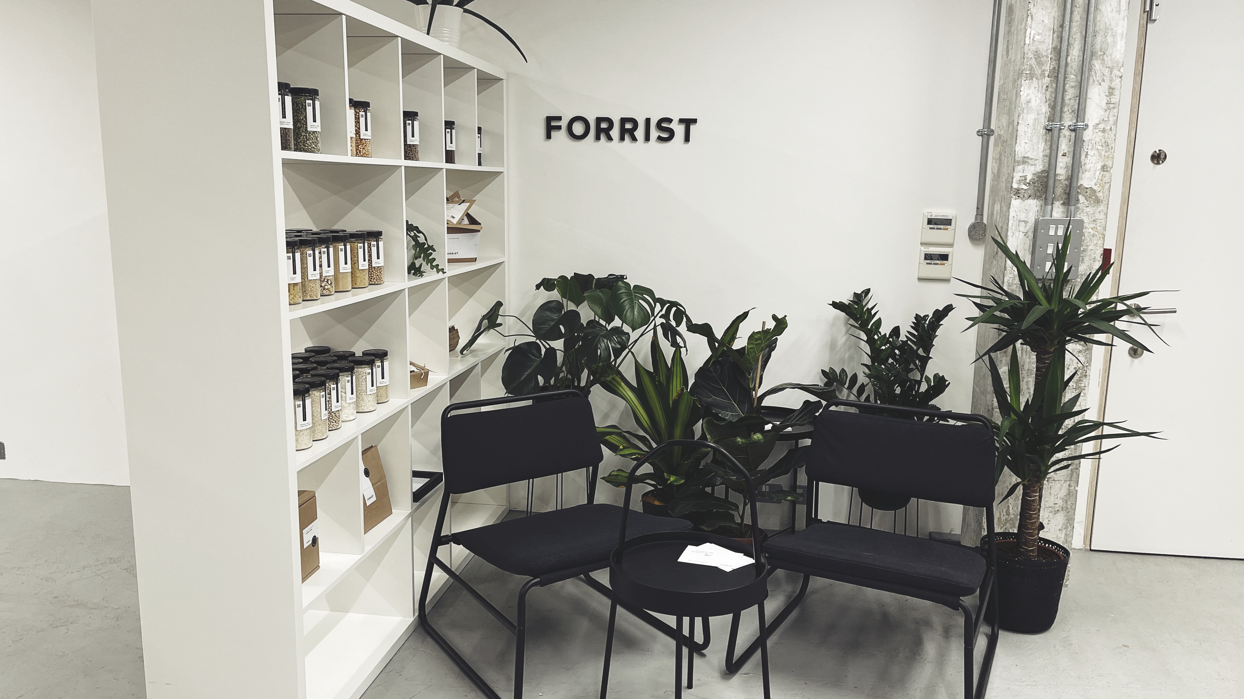 Studio - oiwhvnftxop.jpg