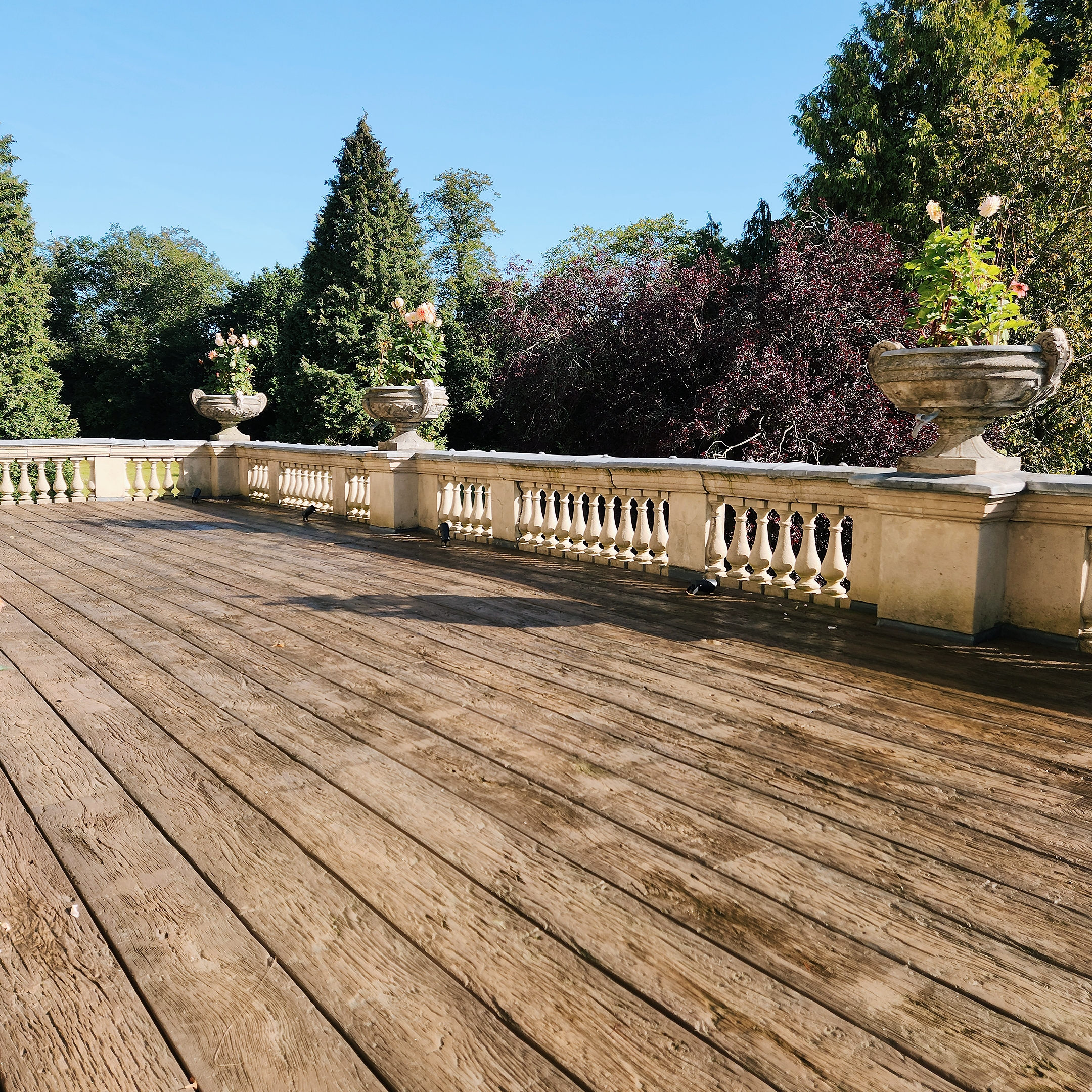 The Location House - image 6