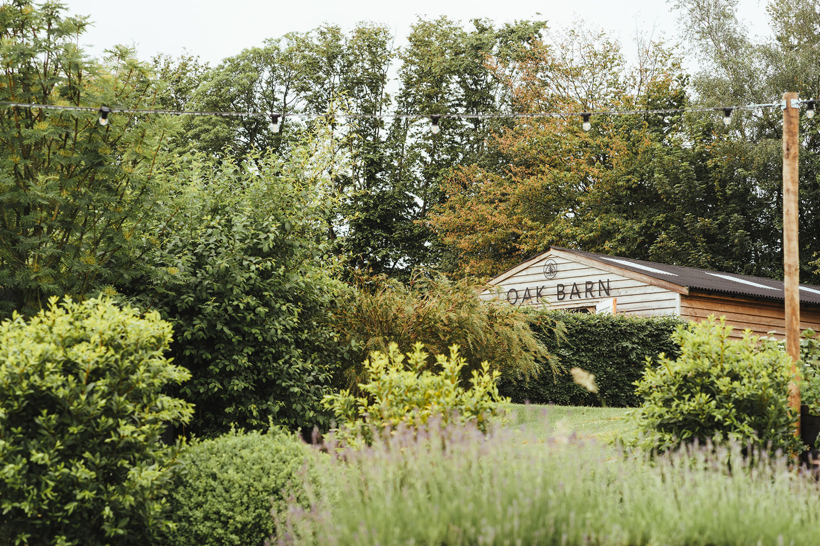 Farm Hire - Film Location & Product Launches - 15emfhtjxbh.jpg