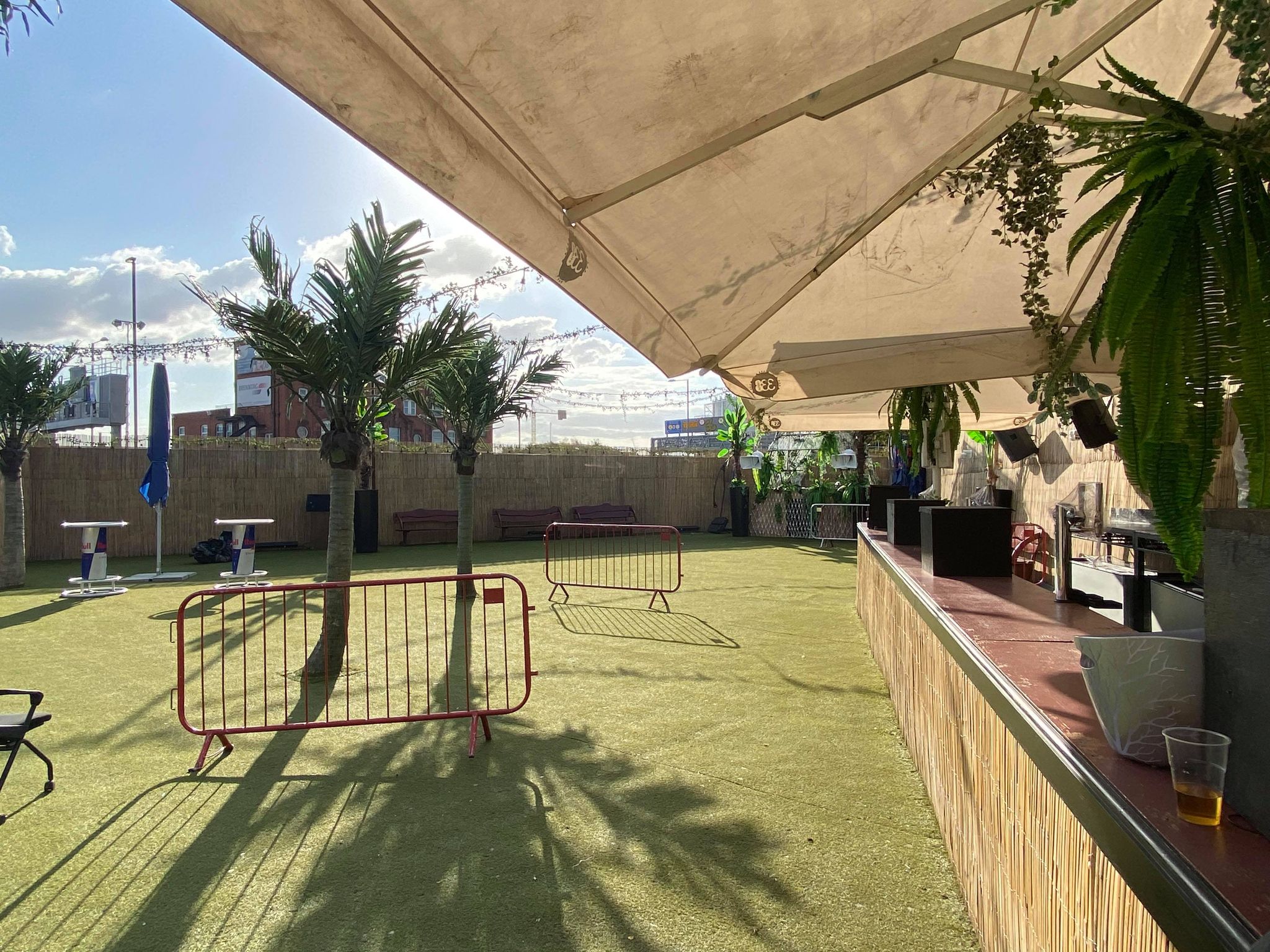 Outdoor event space at Studio 338 with grassy area and palm trees for gatherings.
