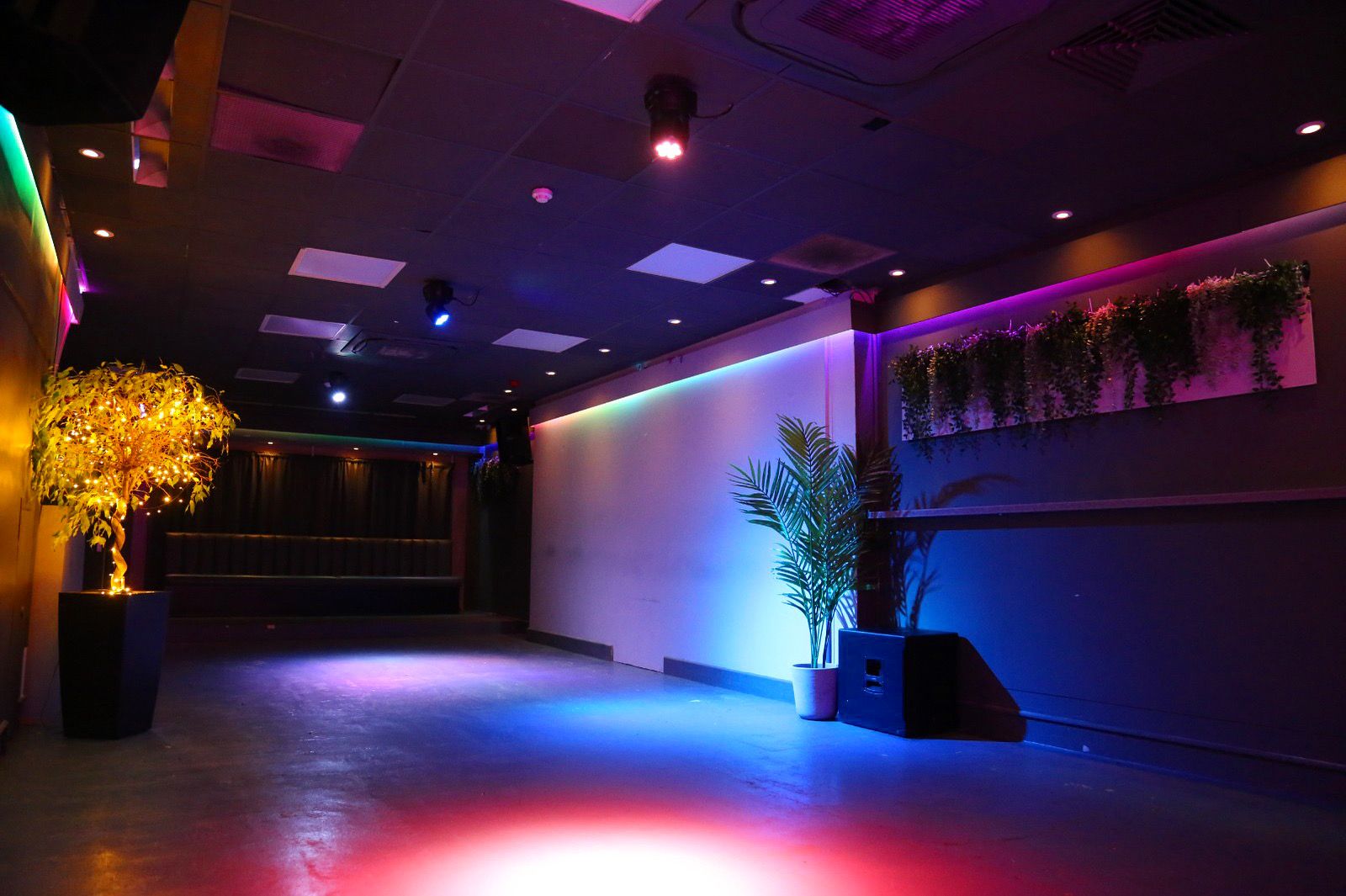 Versatile event space with dynamic lighting and greenery for gatherings and celebrations.