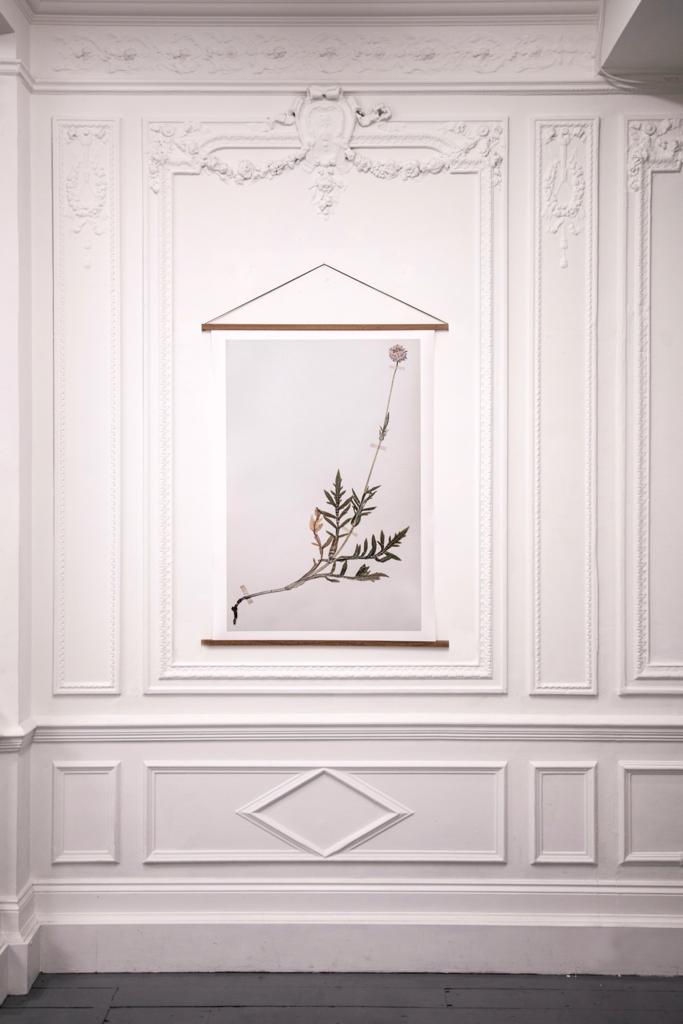 Botanical illustration on Saint George Street for creative workshops and corporate retreats.