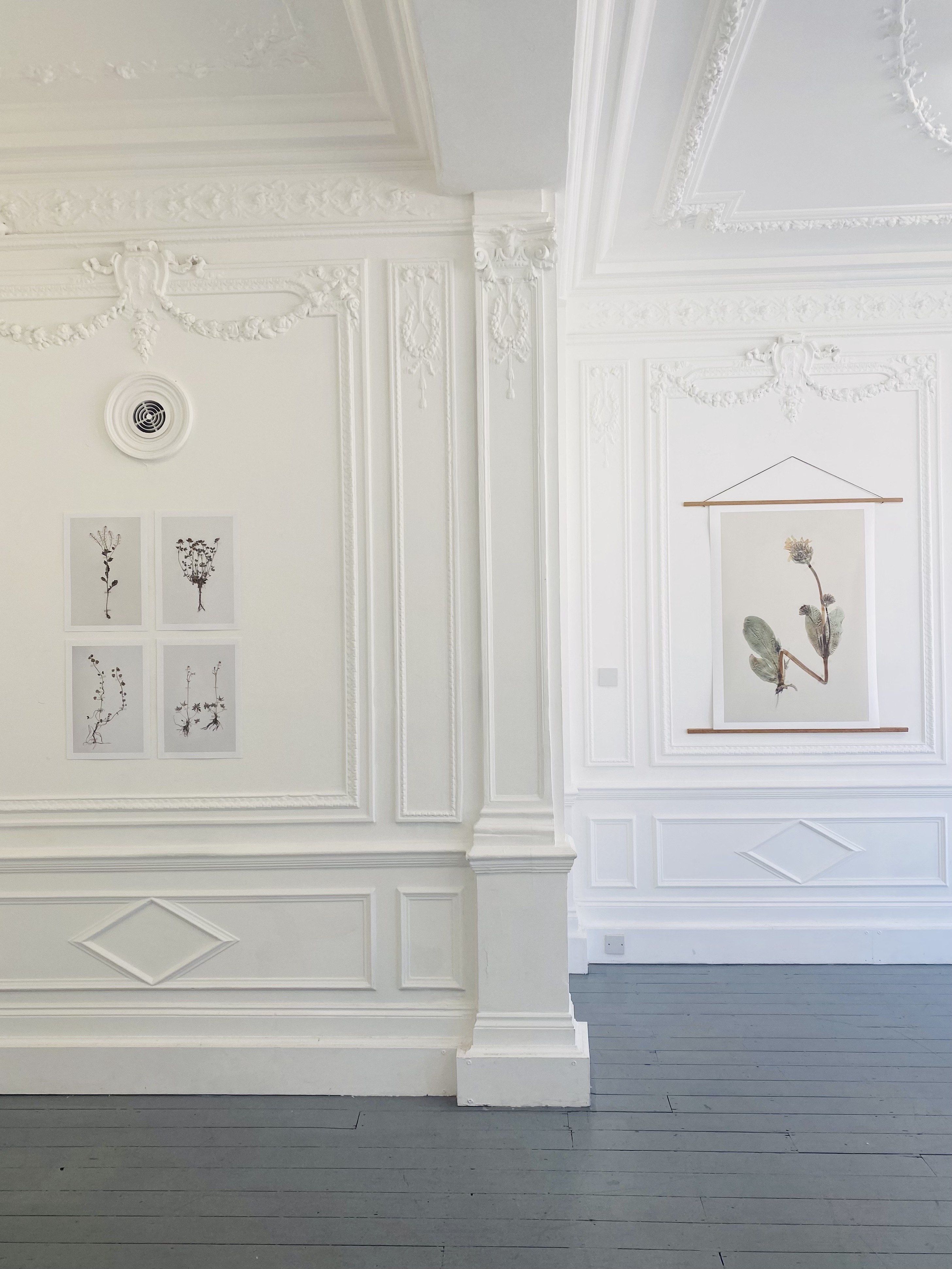 Elegant event space on Saint George Street with botanical artwork, perfect for intimate gatherings.