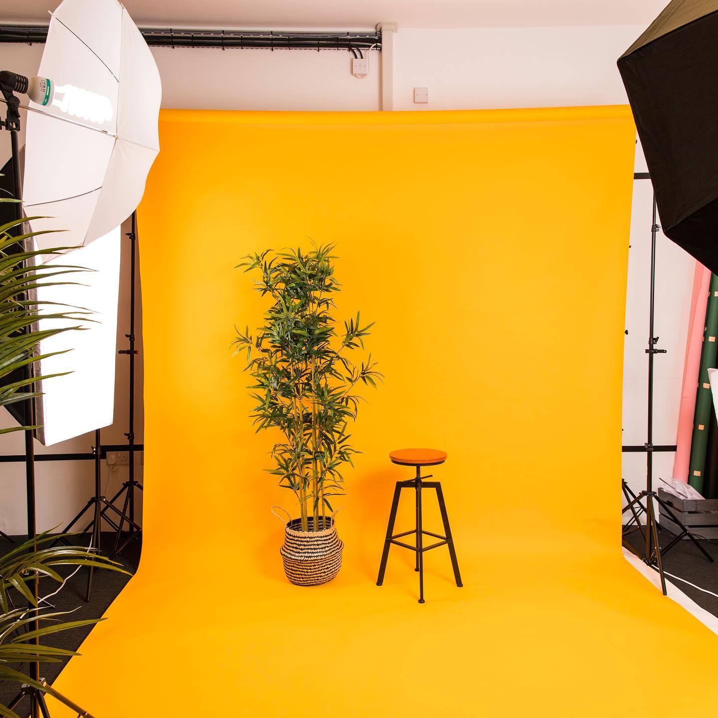 Vibrant yellow backdrop at SOZO STUDIOS for events and photo ops.