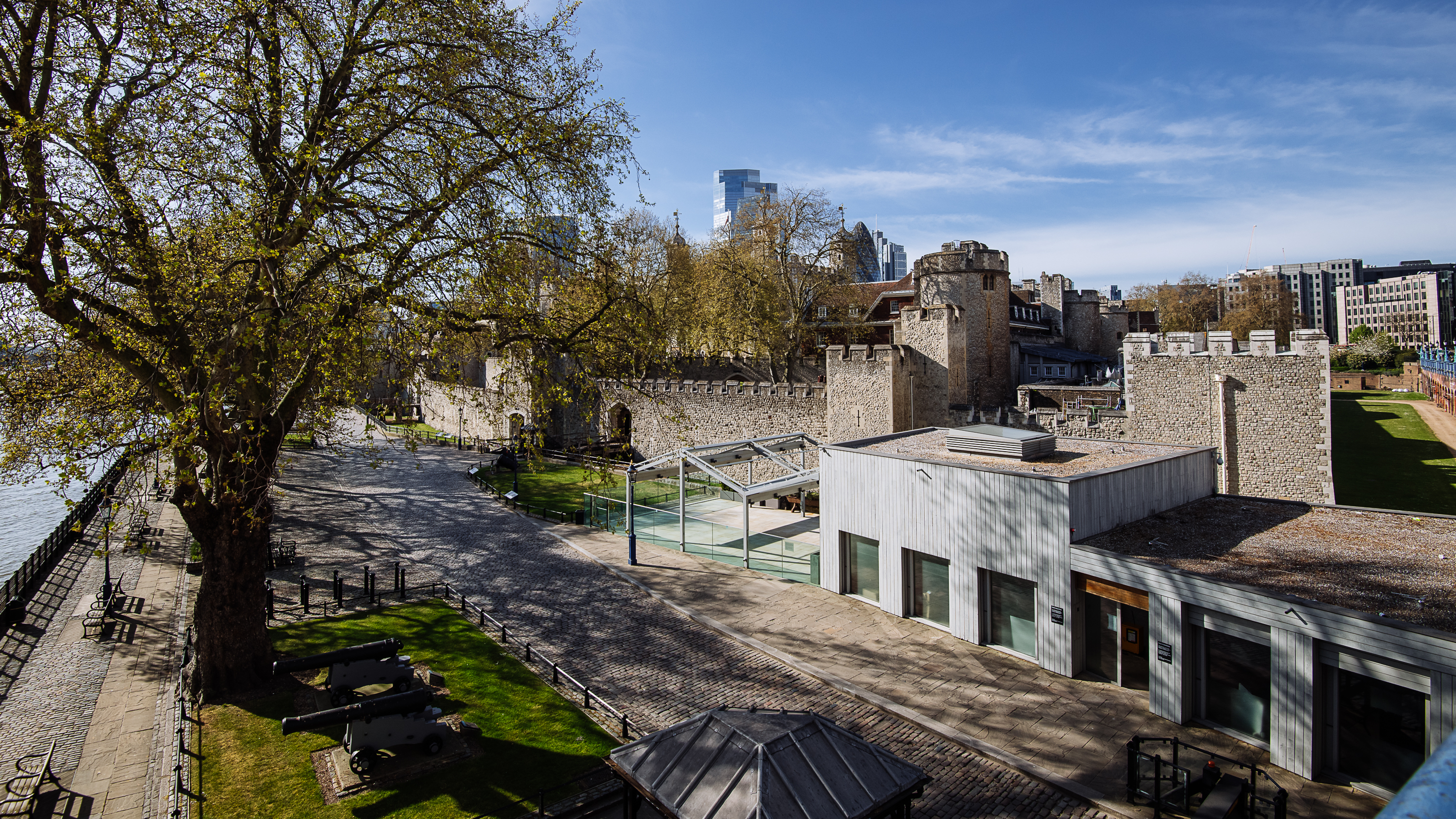 The Reveller - 1agi2a43vbd.jpg