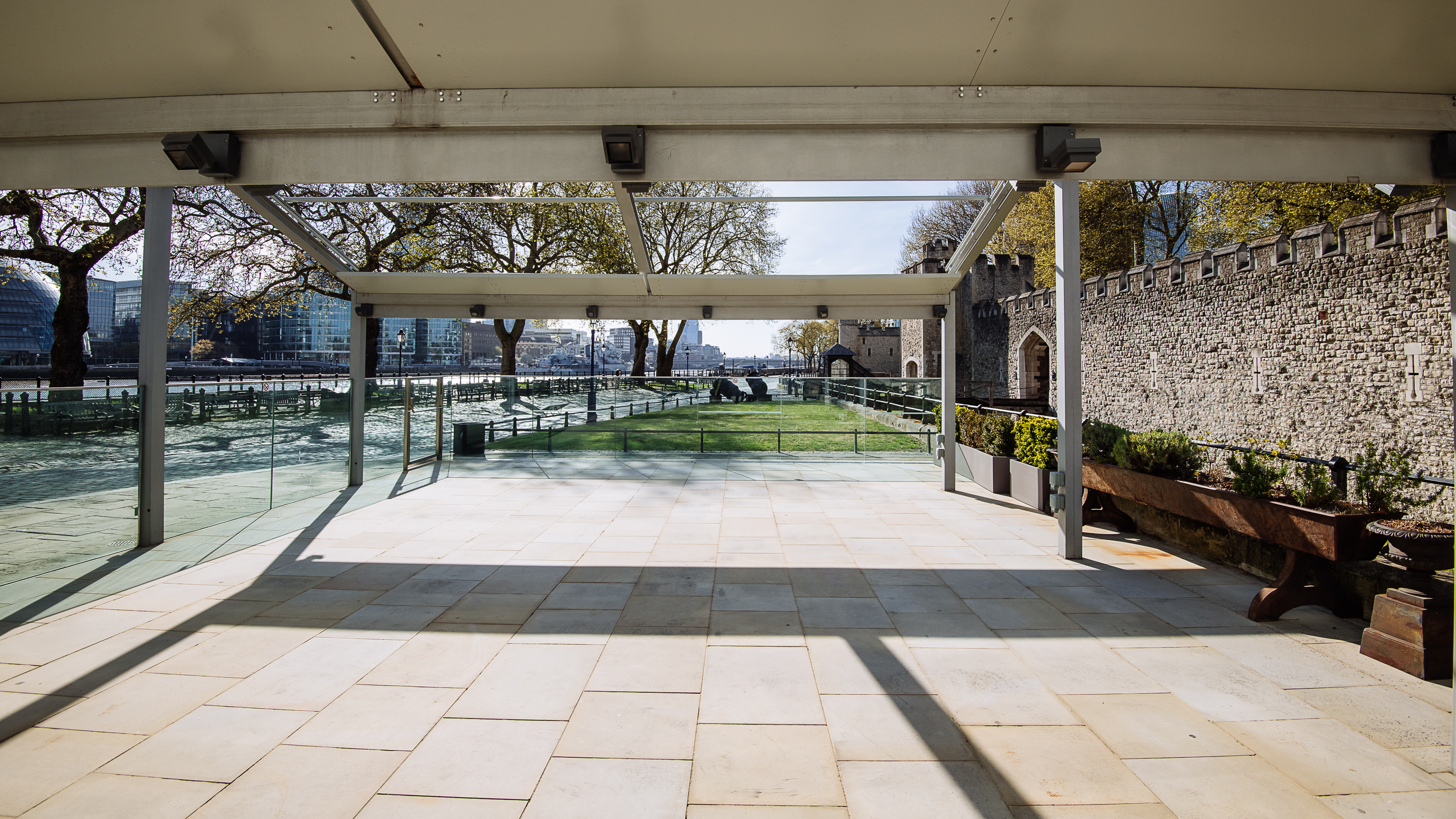 The Reveller - jarmzqypw4r.jpg