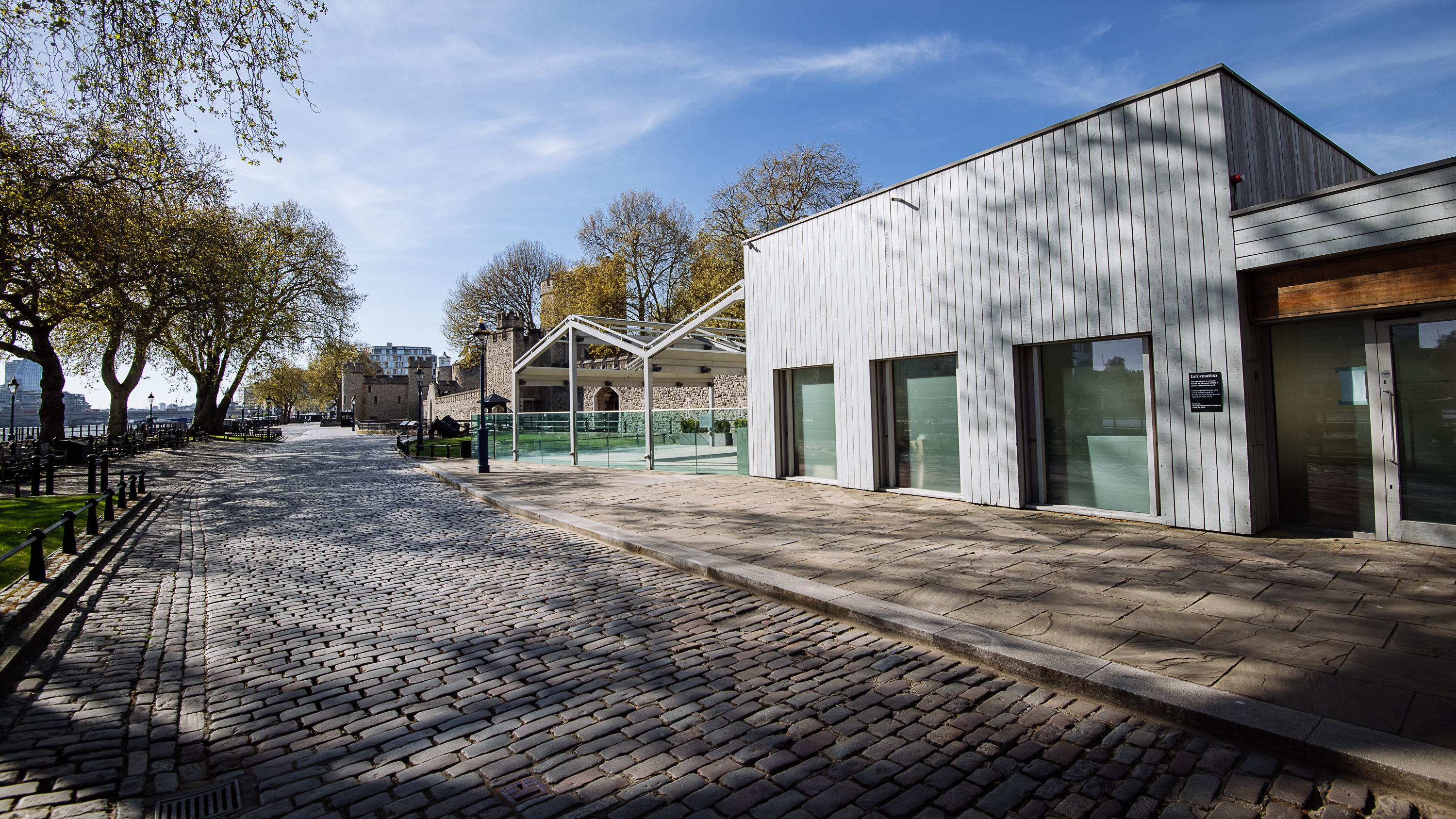 The Reveller - vj5frc2keya.jpg